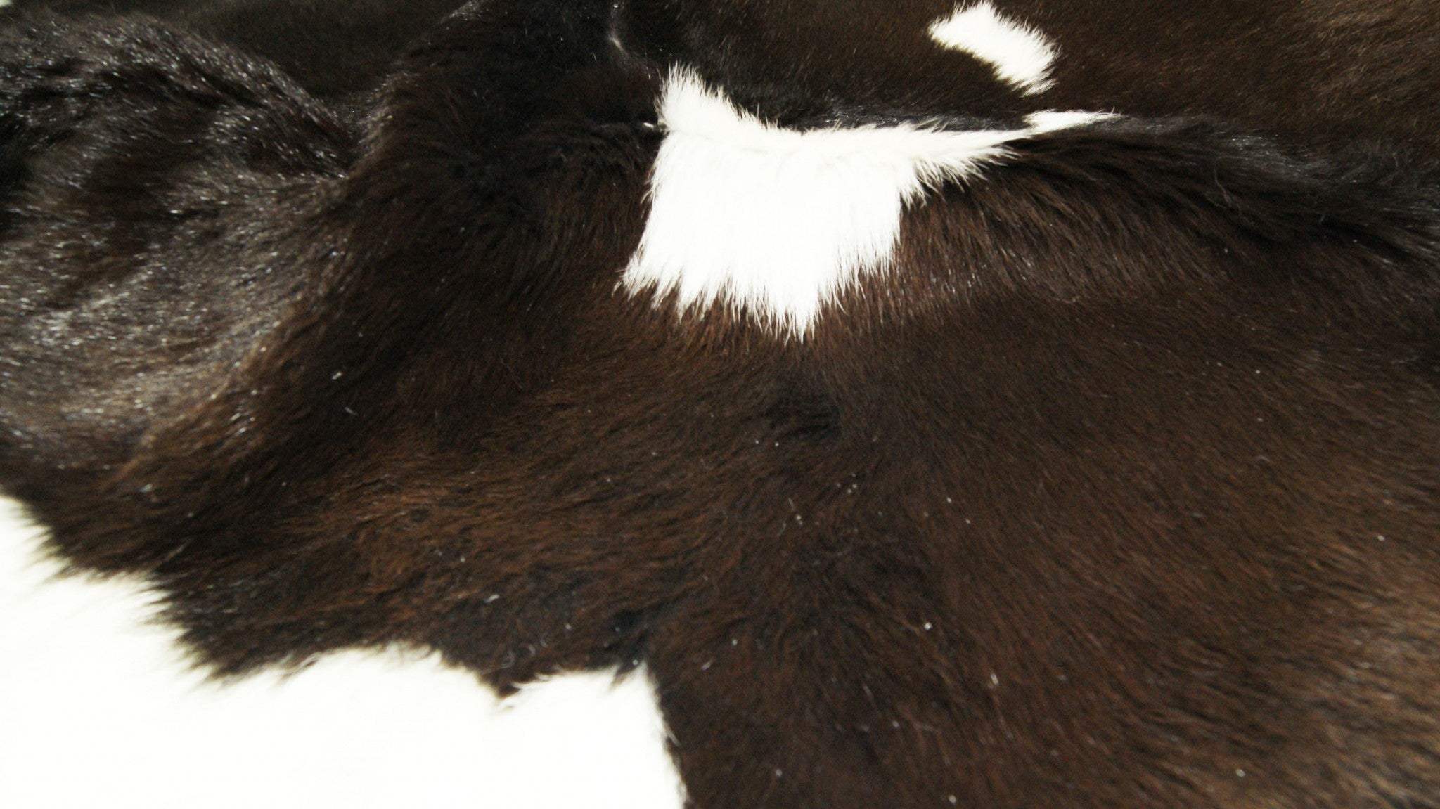2' X 3' Brown and White Cowhide Hand Woven Area Rug - Image 4