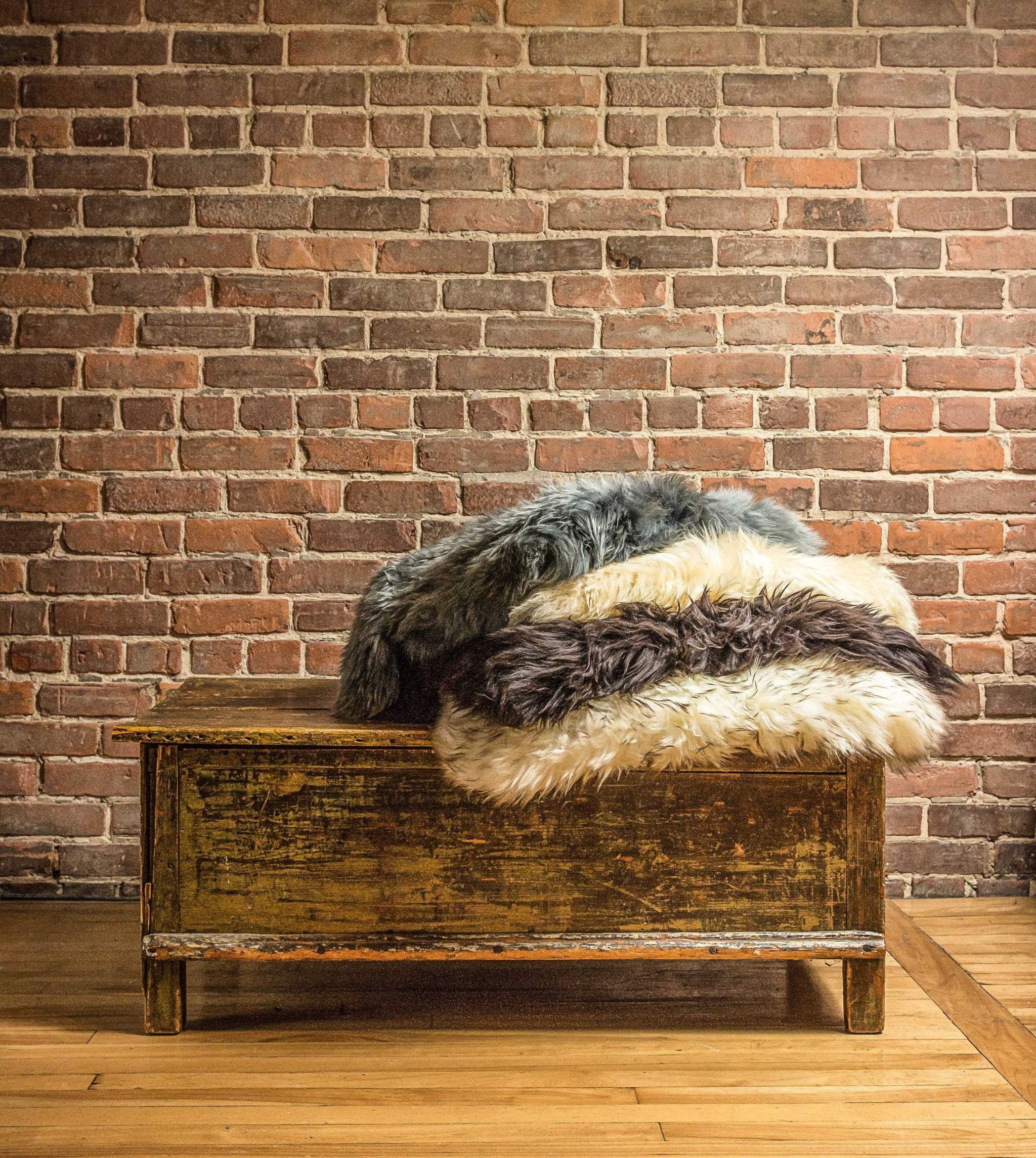 2' X 3' Chocolate New Zealand Natural Sheepskin Rug - Image 5