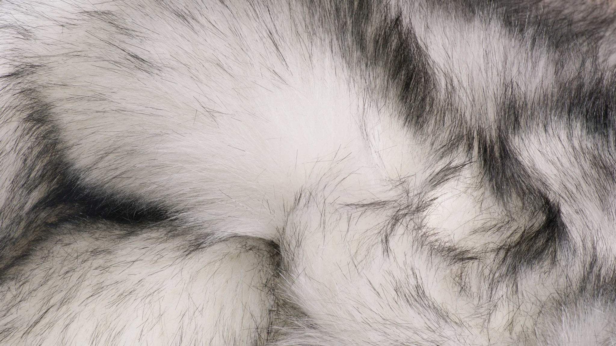 2' X 3' Gray Faux Sheepskin Shag Washable Area Rug - Image 8