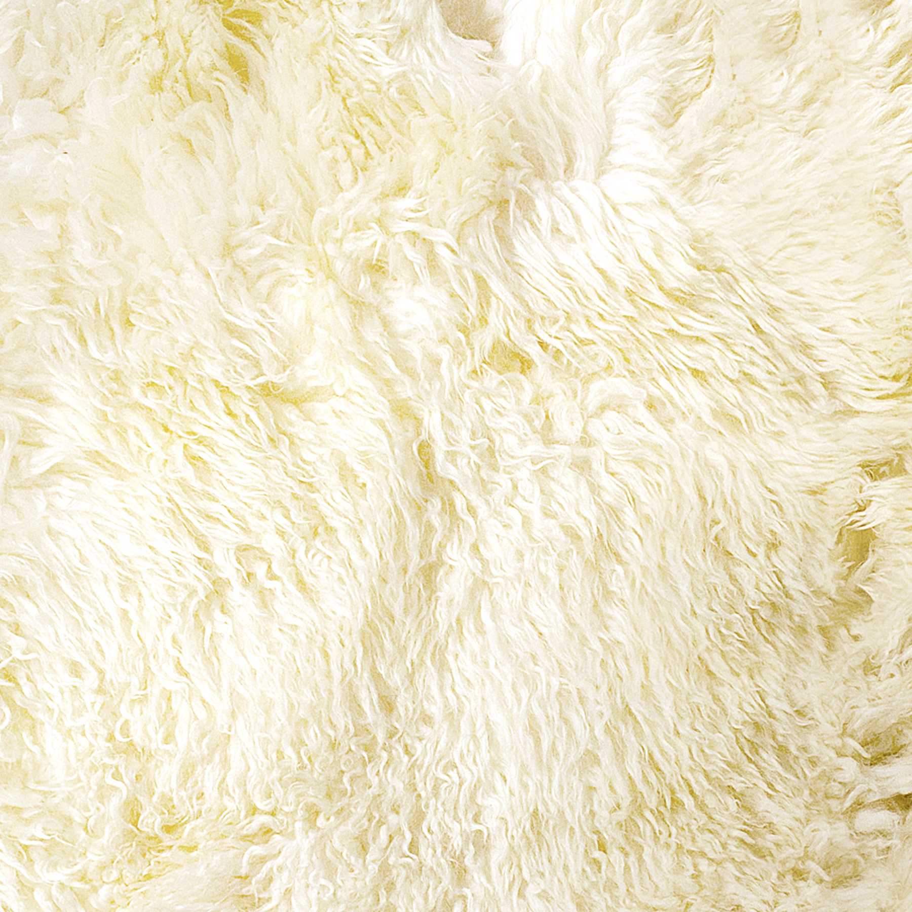 2' X 3' Natural New Zealand Sheepskin Wool Area Rug - Image 4