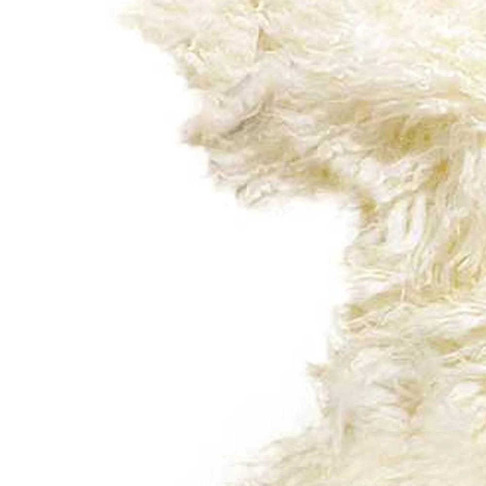 2' X 3' Natural New Zealand Sheepskin Wool Area Rug - Image 5