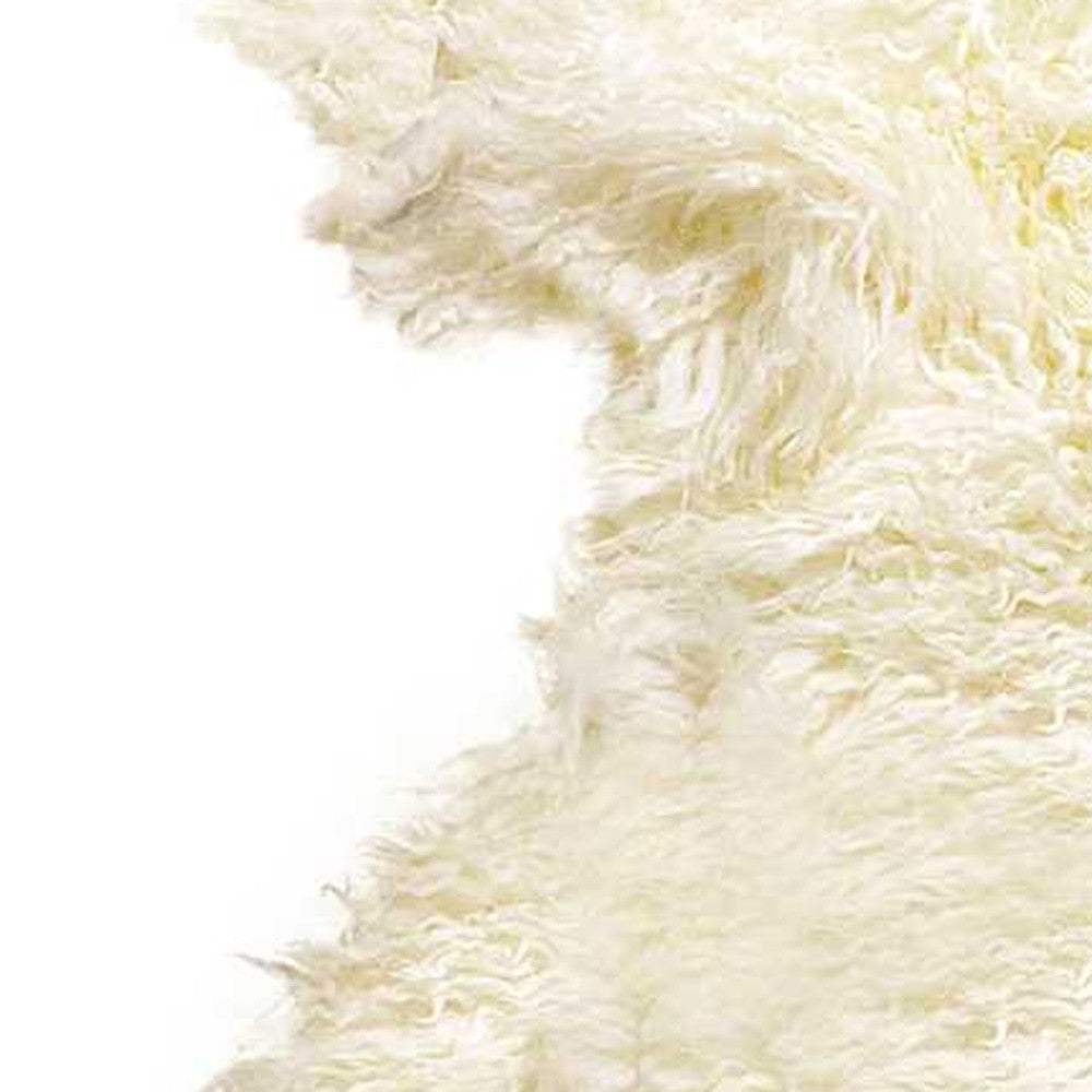 2' X 3' Natural New Zealand Sheepskin Wool Area Rug - Image 6