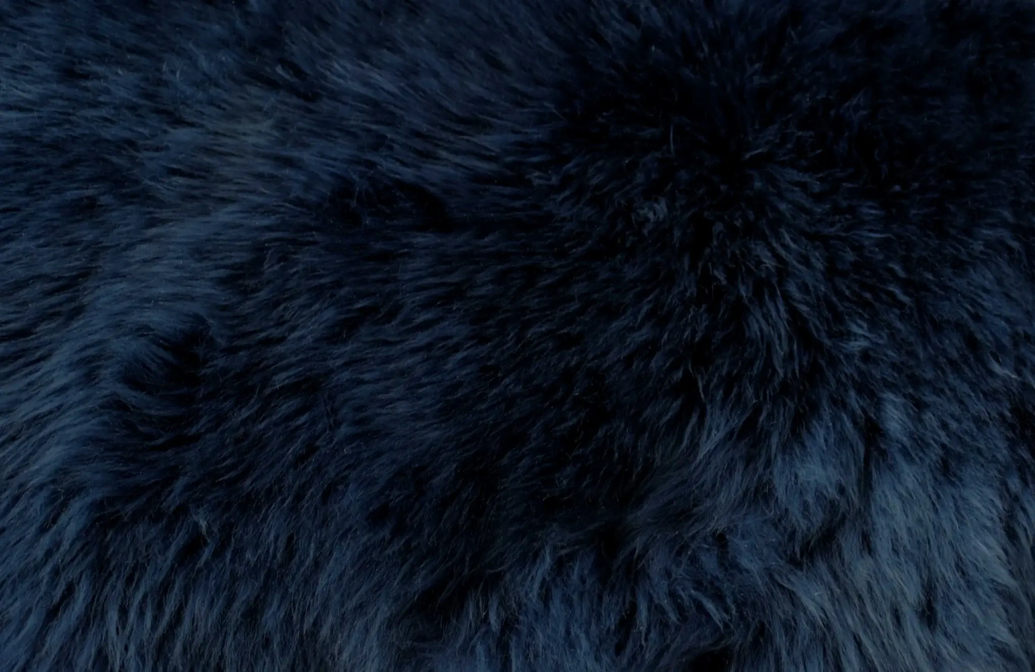 2' X 3' Navy New Zealand Natural Sheepskin Rug - Image 8