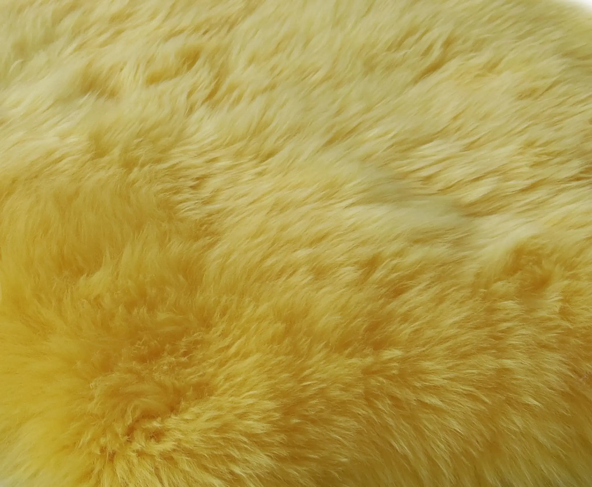 2' X 3' Yellow New Zealand Natural Sheepskin Rug - Image 8