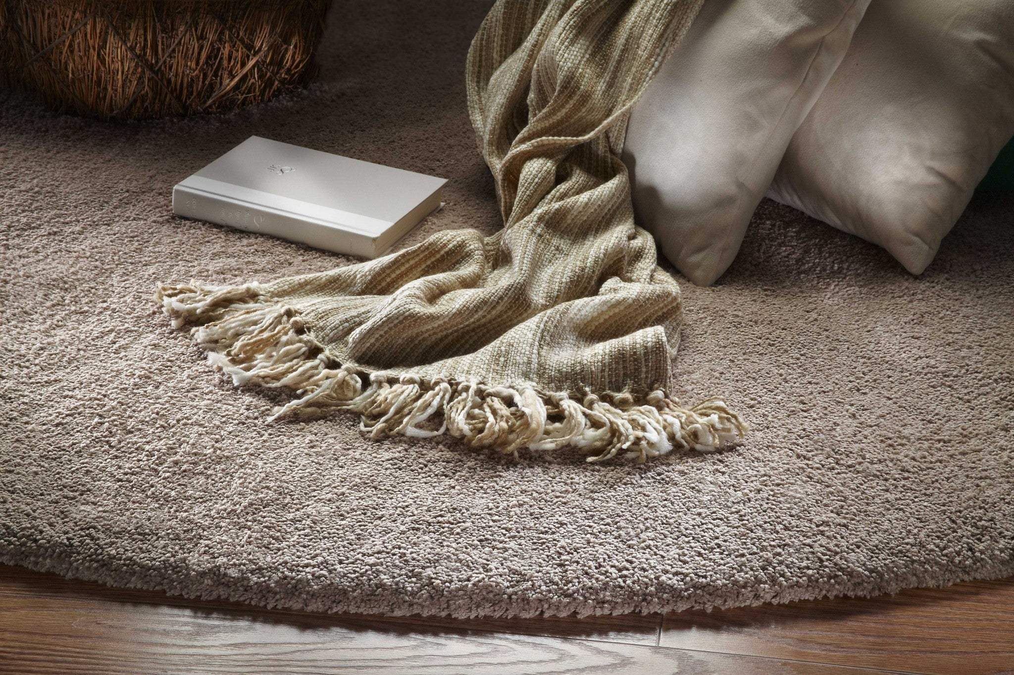 2' X 4' Beige Indoor Shag Rug - Image 3