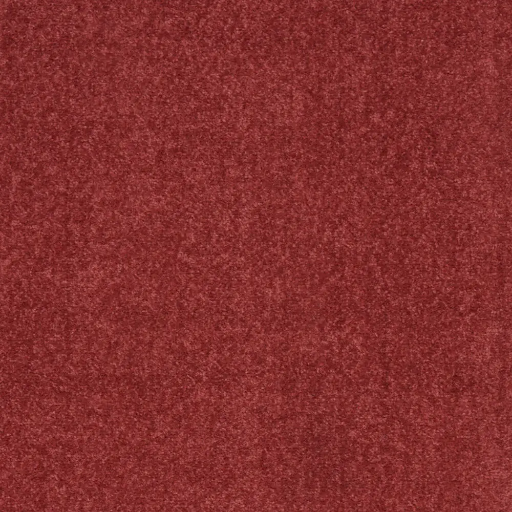 2' X 4' Brick Red Non Skid Indoor Outdoor Runner Rug - Image 6