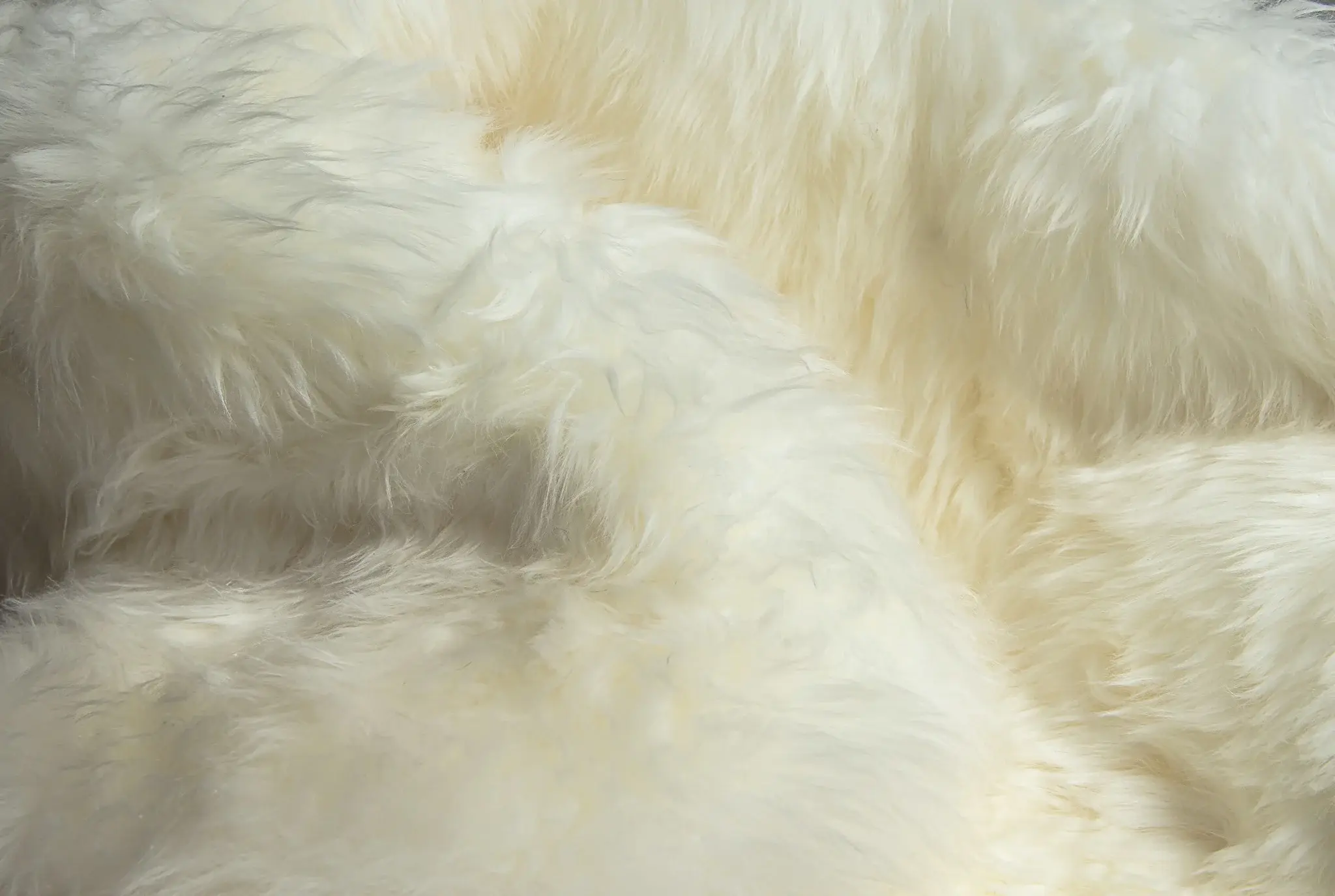 2' X 6' Ivory Wool Sheepskin Handmade Area Rug - Image 5