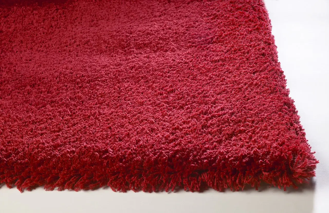 3' X 5' Red Indoor Shag Rug - Image 2