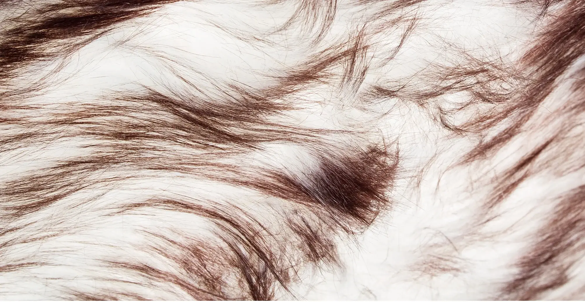 5' X 6' Chocolate Ombre Faux Sheepskin Non Skid Area Rug - Image 4