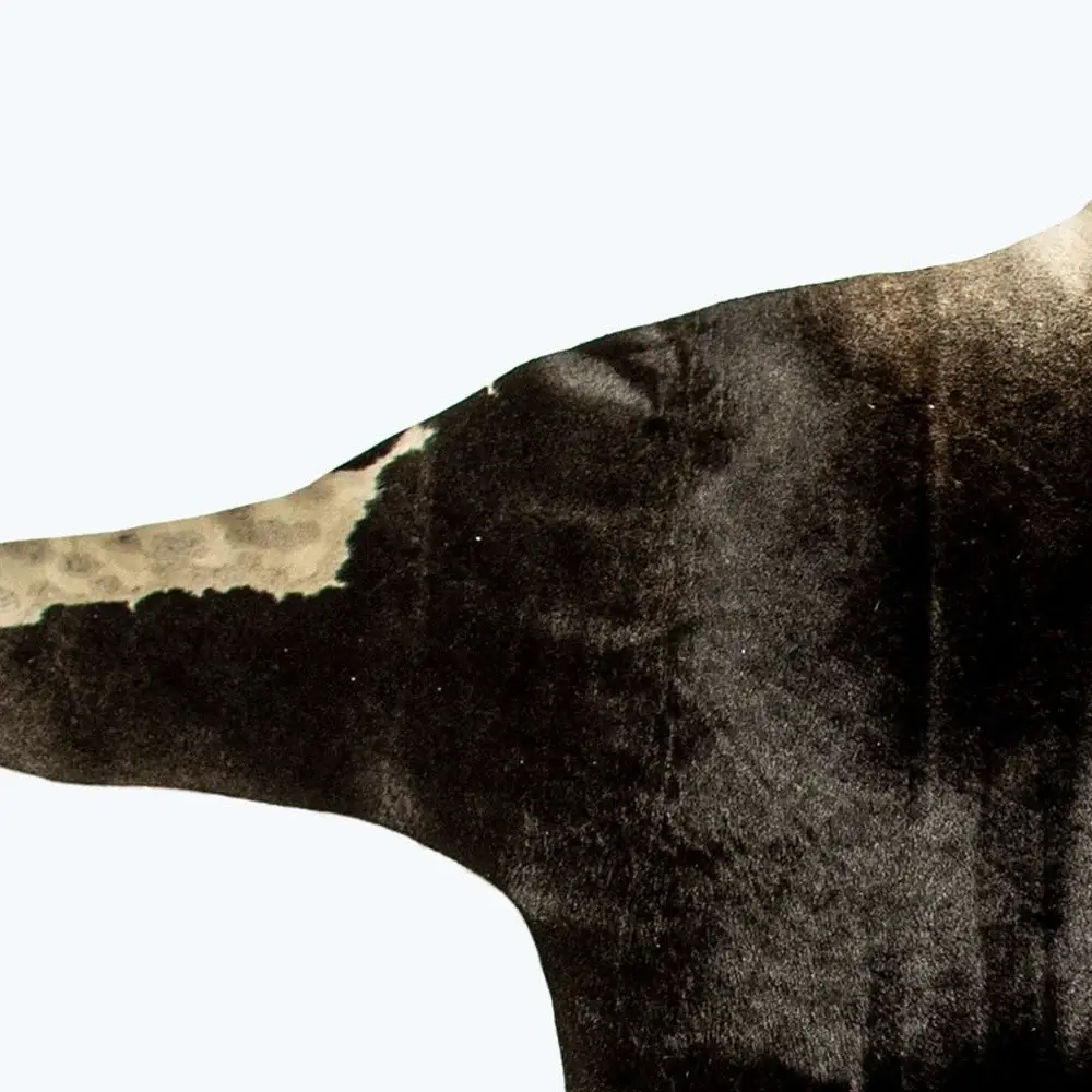5' X 7' Grey Normande Cowhide Ombre Cowhide Handmade Area Rug - Image 5