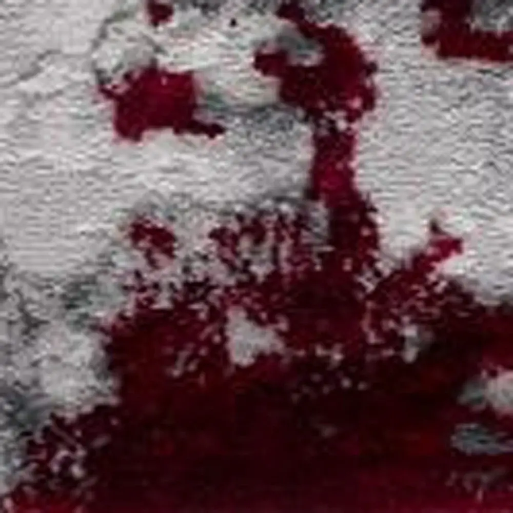 5' X 7' Red and Gray Abstract Area Rug - Image 5