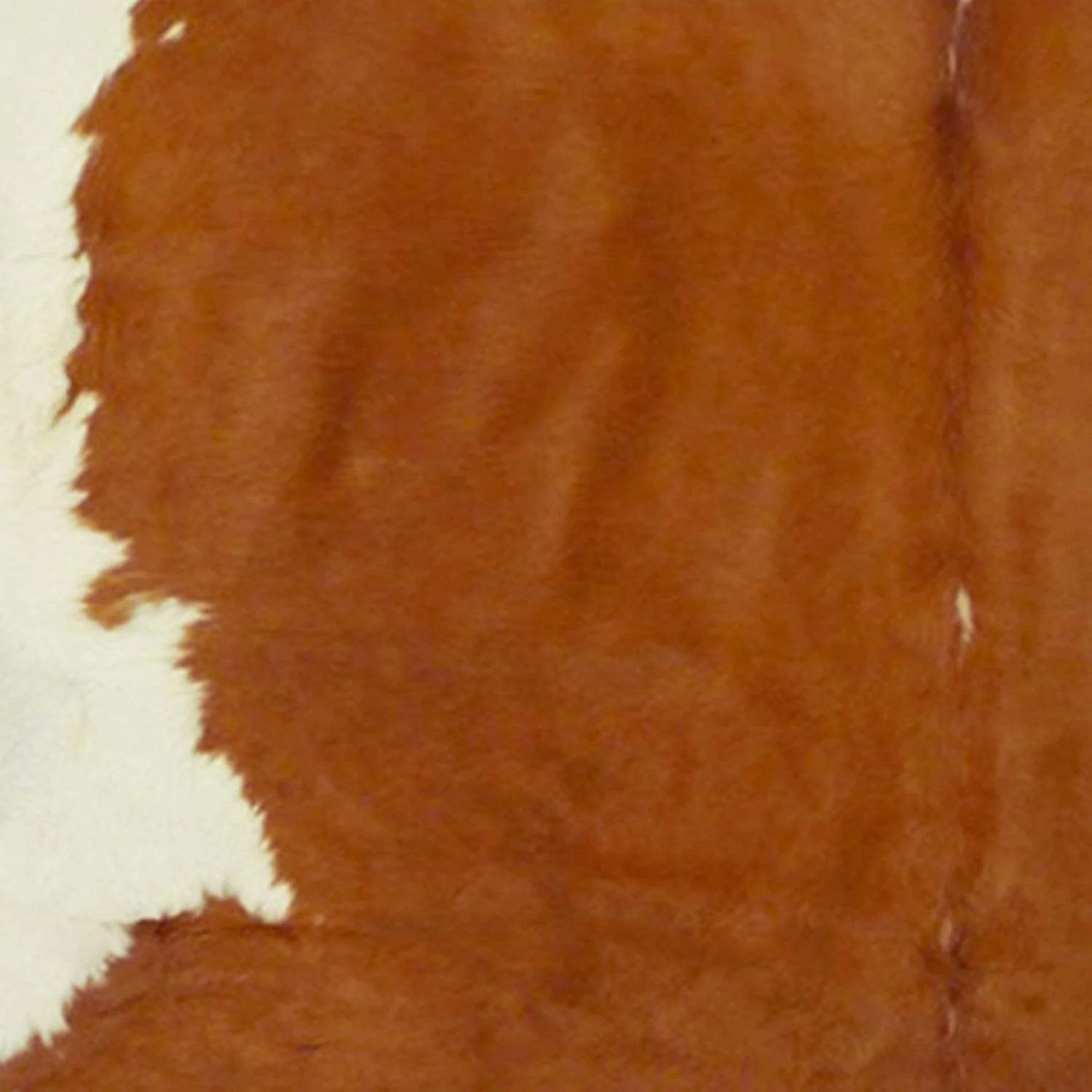 6 Ft Hereford Brindled Cowhide Rug - Image 2