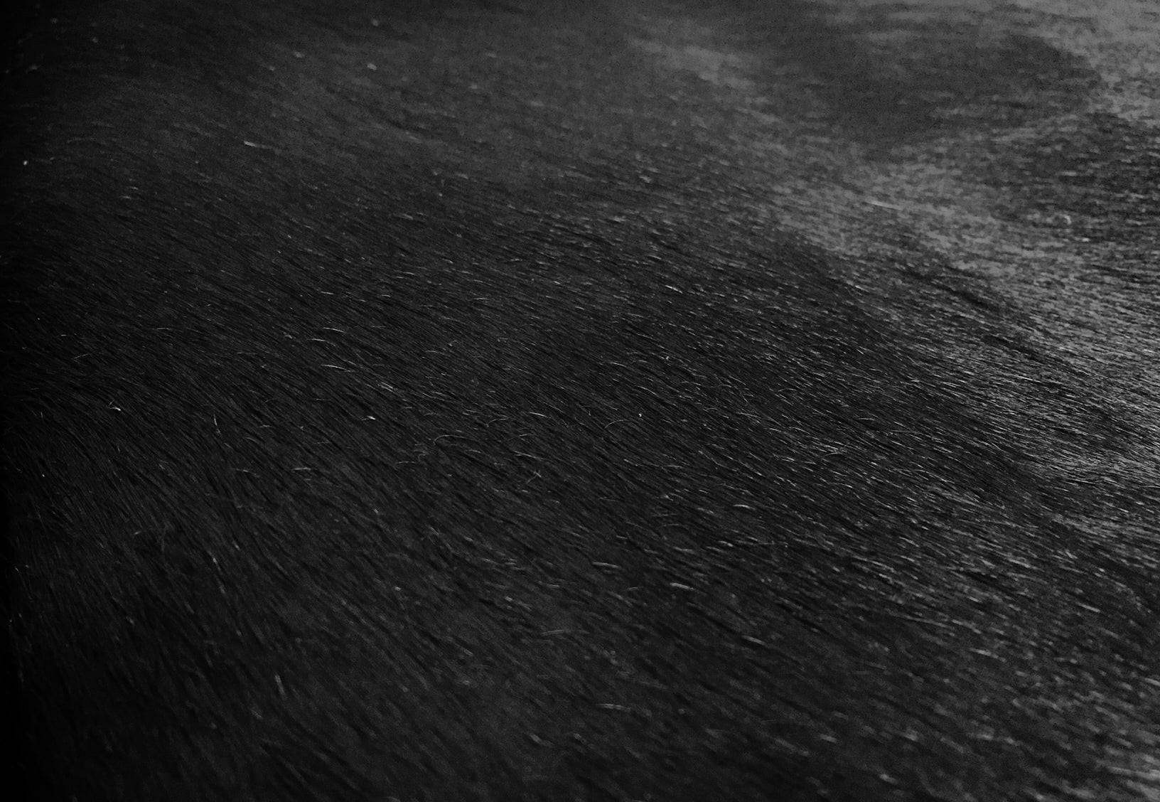 6 Ft Natural Black Brindled Cowhide Rug - Image 4