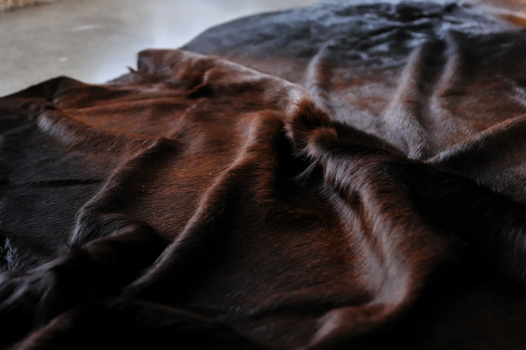 6' X 7' Black and White Cowhide Area Rug - Image 4