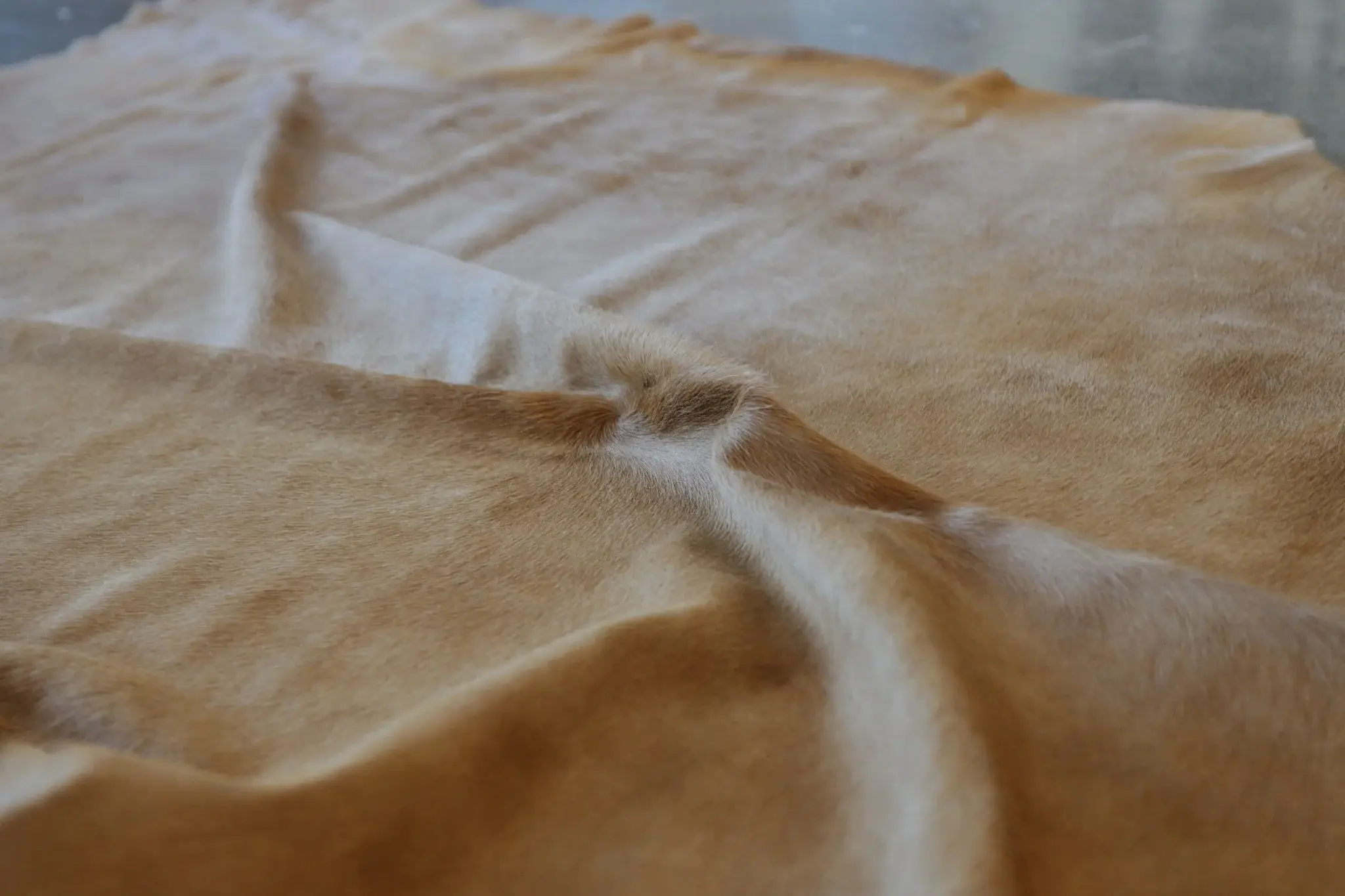 6' X 7' Golden Honey Exotic Cowhide Area Rug - Image 5