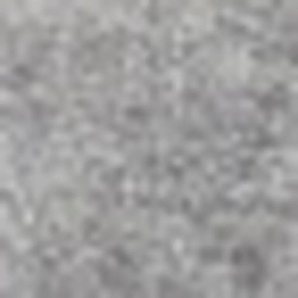 6' X 9' Silver Grey Indoor Outdoor Area Rug - Image 3