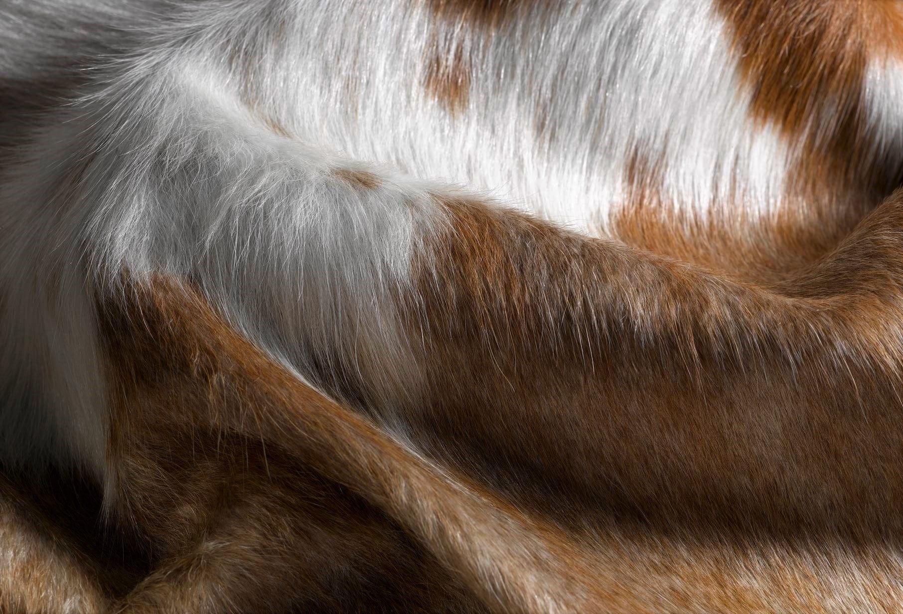 60" X 84" Brown And White Cowhide - Area Rug - Image 4