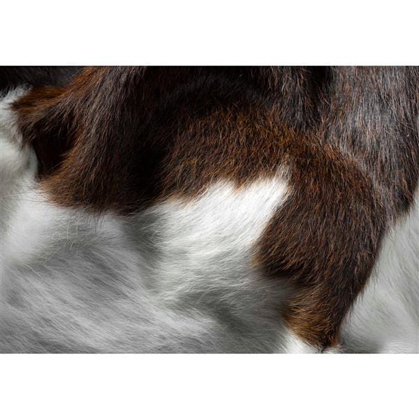 60" X 84" Chocolate And White Cowhide - Area Rug - Image 4