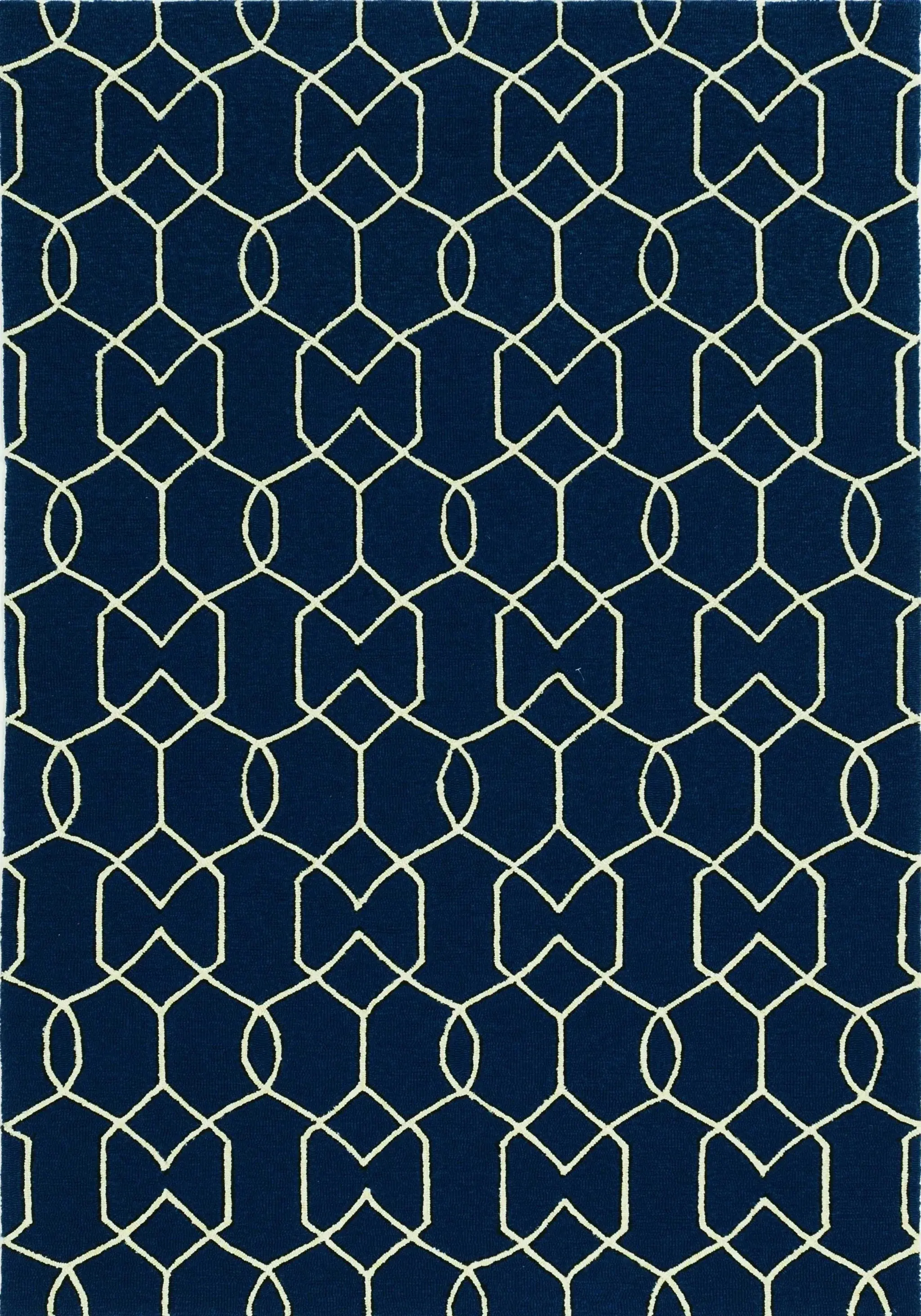 7' X 10' Blue Moroccan Indoor Outdoor Area Rug - Image 5