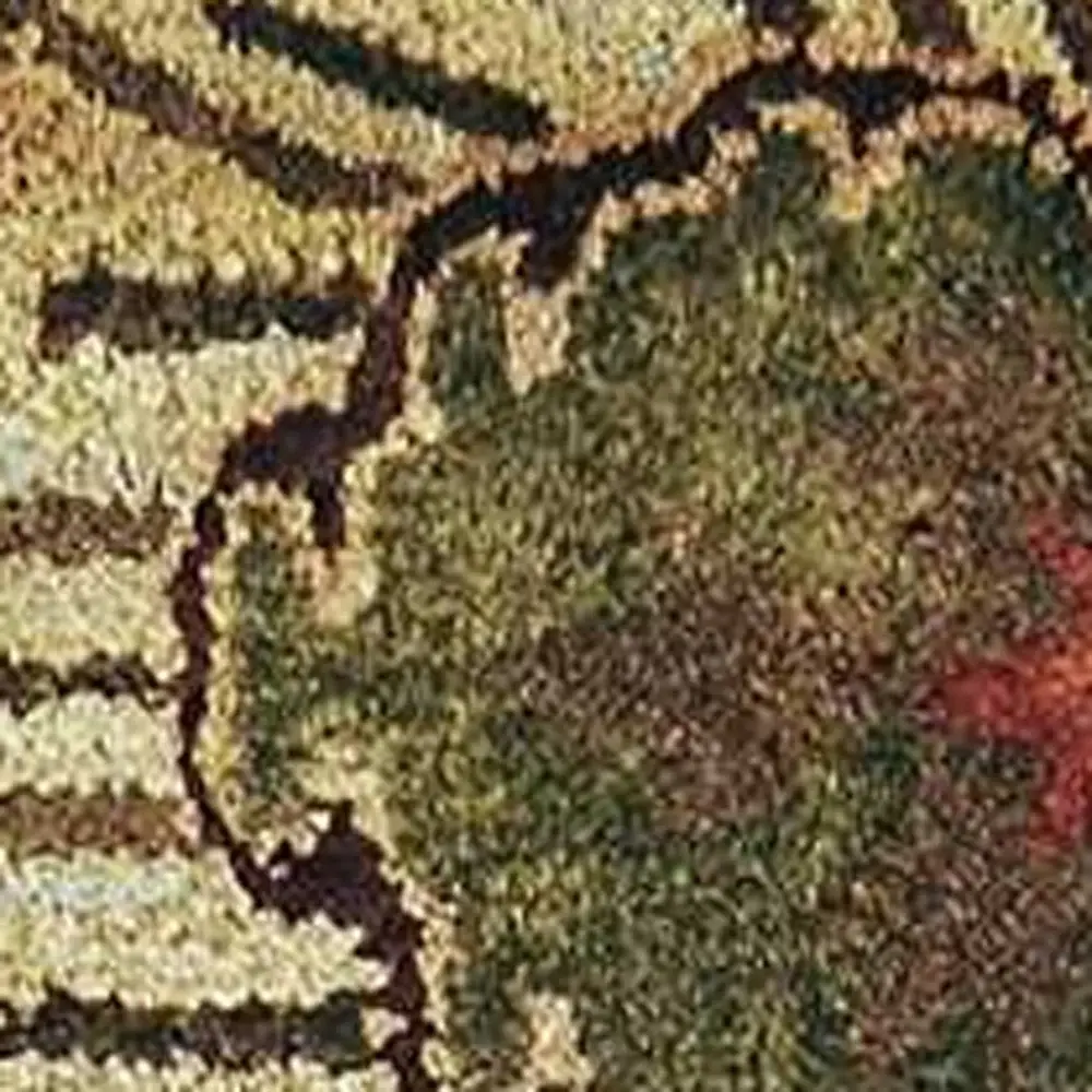 9' X 13' Sienna Orange Hand Tufted Traditional Floral Allover Indoor Area Rug - Image 6