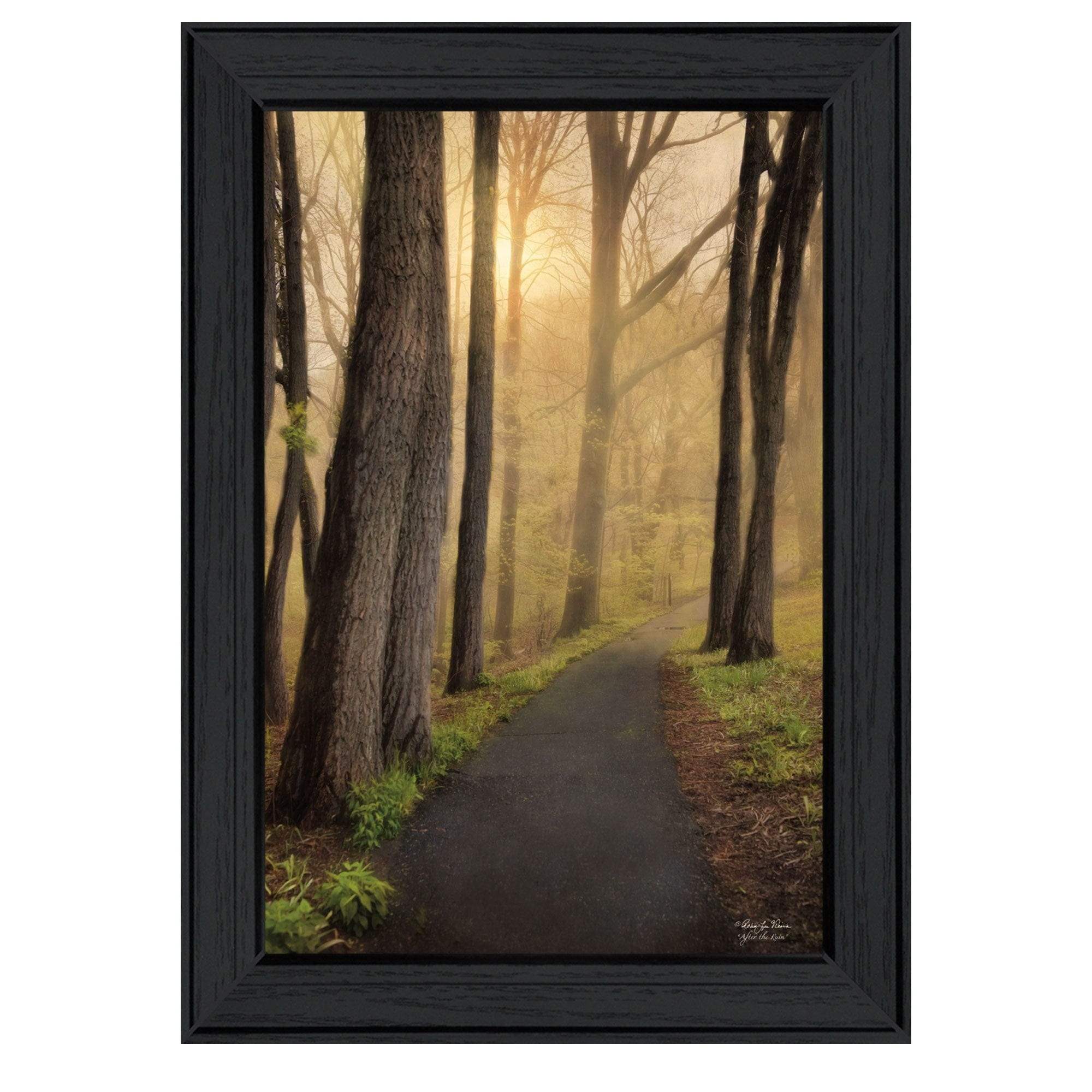 After The Rain Black Framed Print Wall Art - Image 2