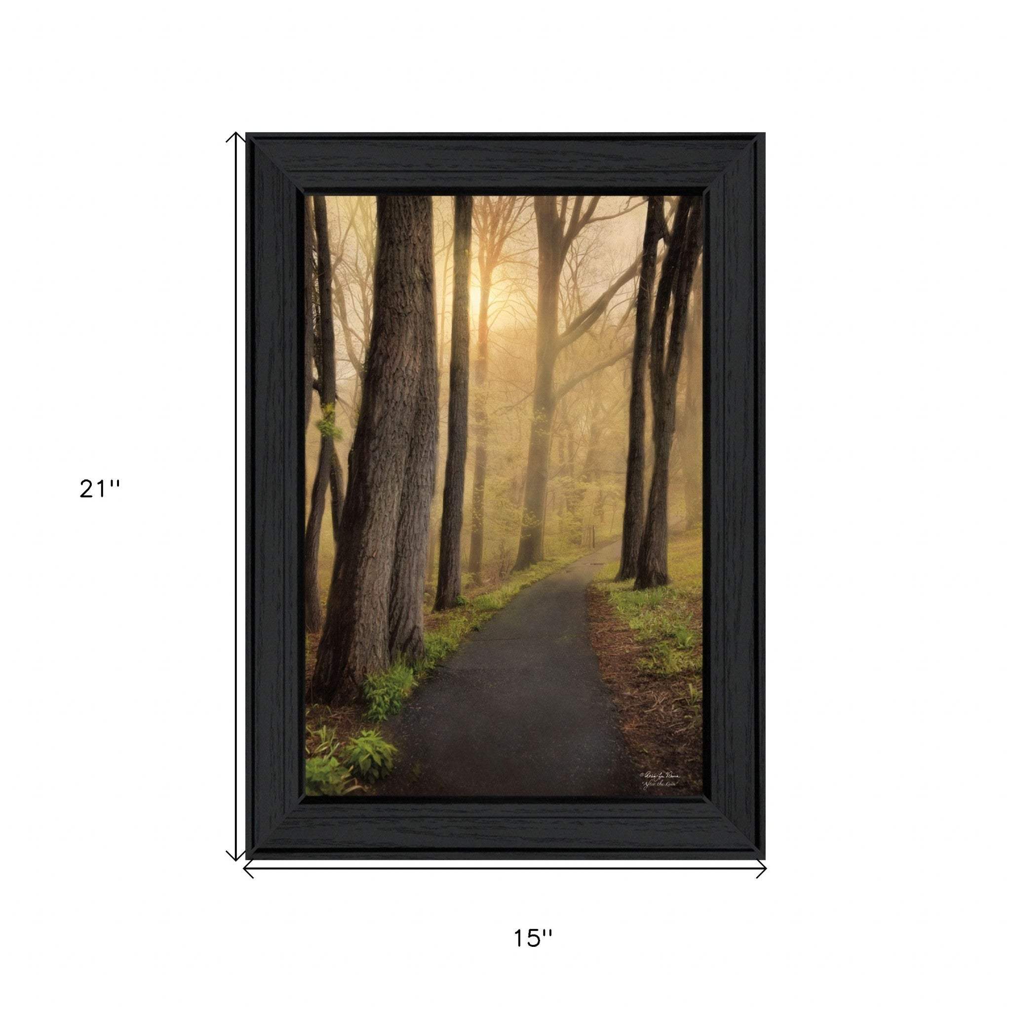 After The Rain Black Framed Print Wall Art - Image 6