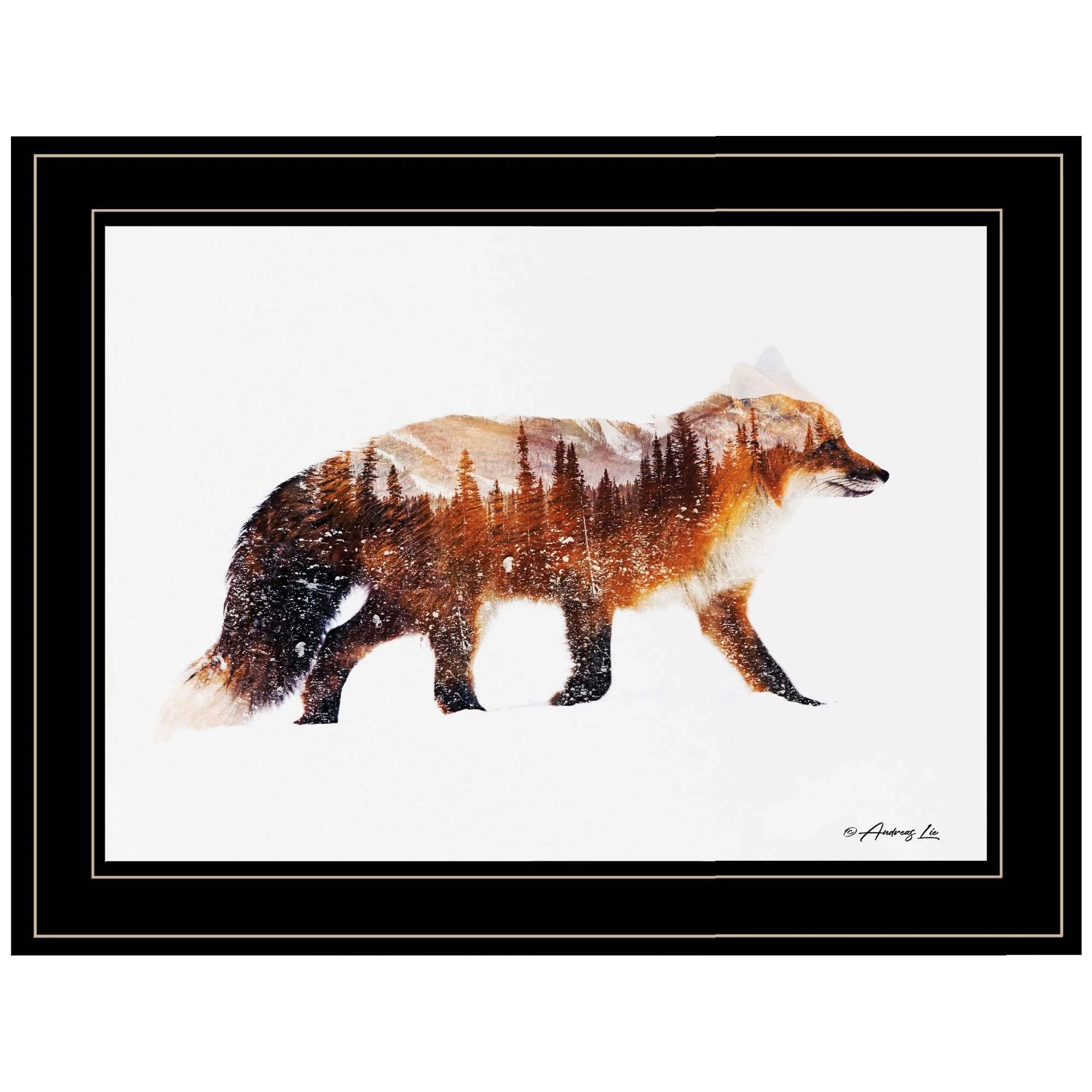 Arctic Red Fox 2 Black Framed Print Wall Art - Image 2