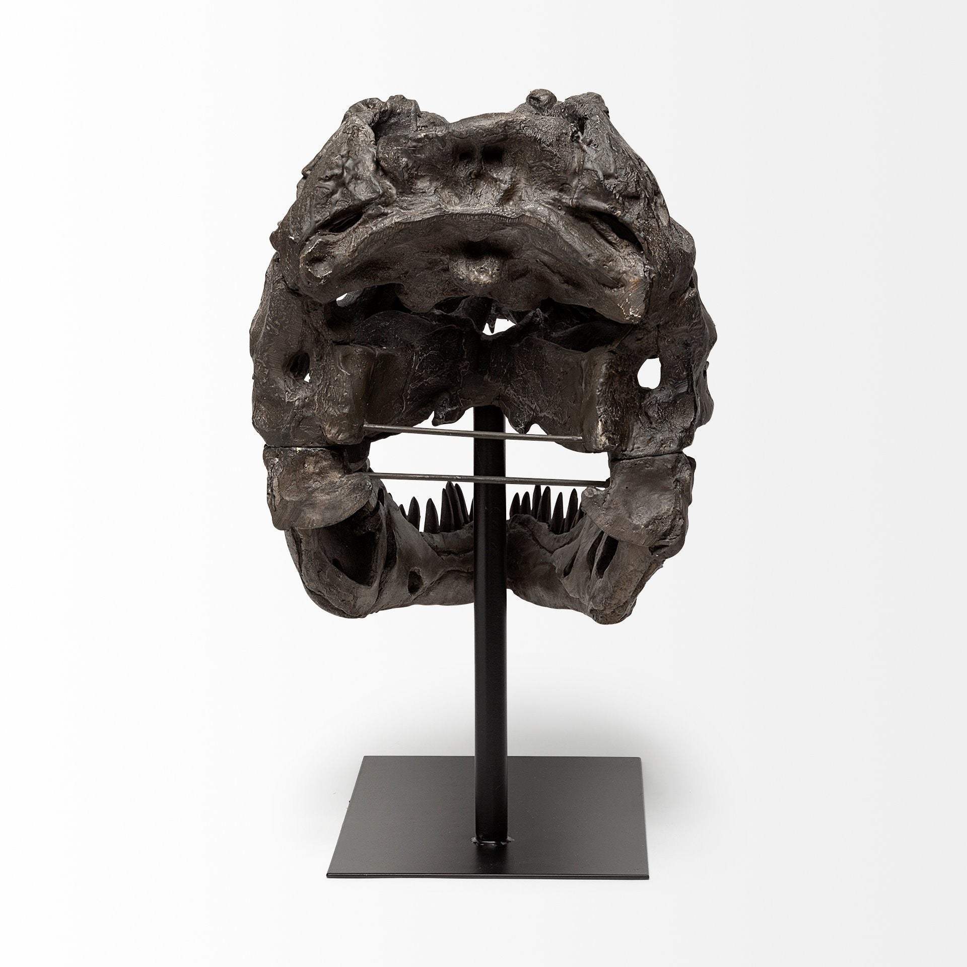 Authentic Replica T Rex Skull Sculpture - Image 4