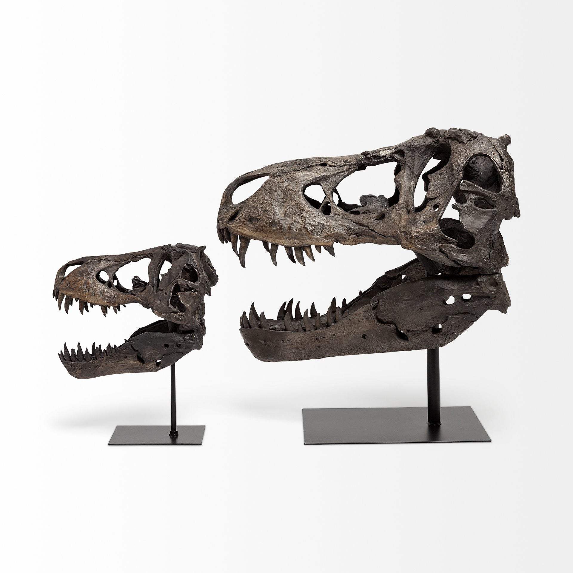 Authentic Replica T Rex Skull Sculpture - Image 5