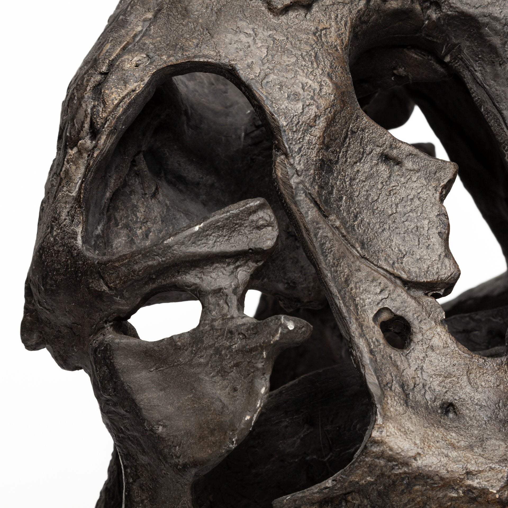 Authentic Replica T Rex Skull Sculpture - Image 7