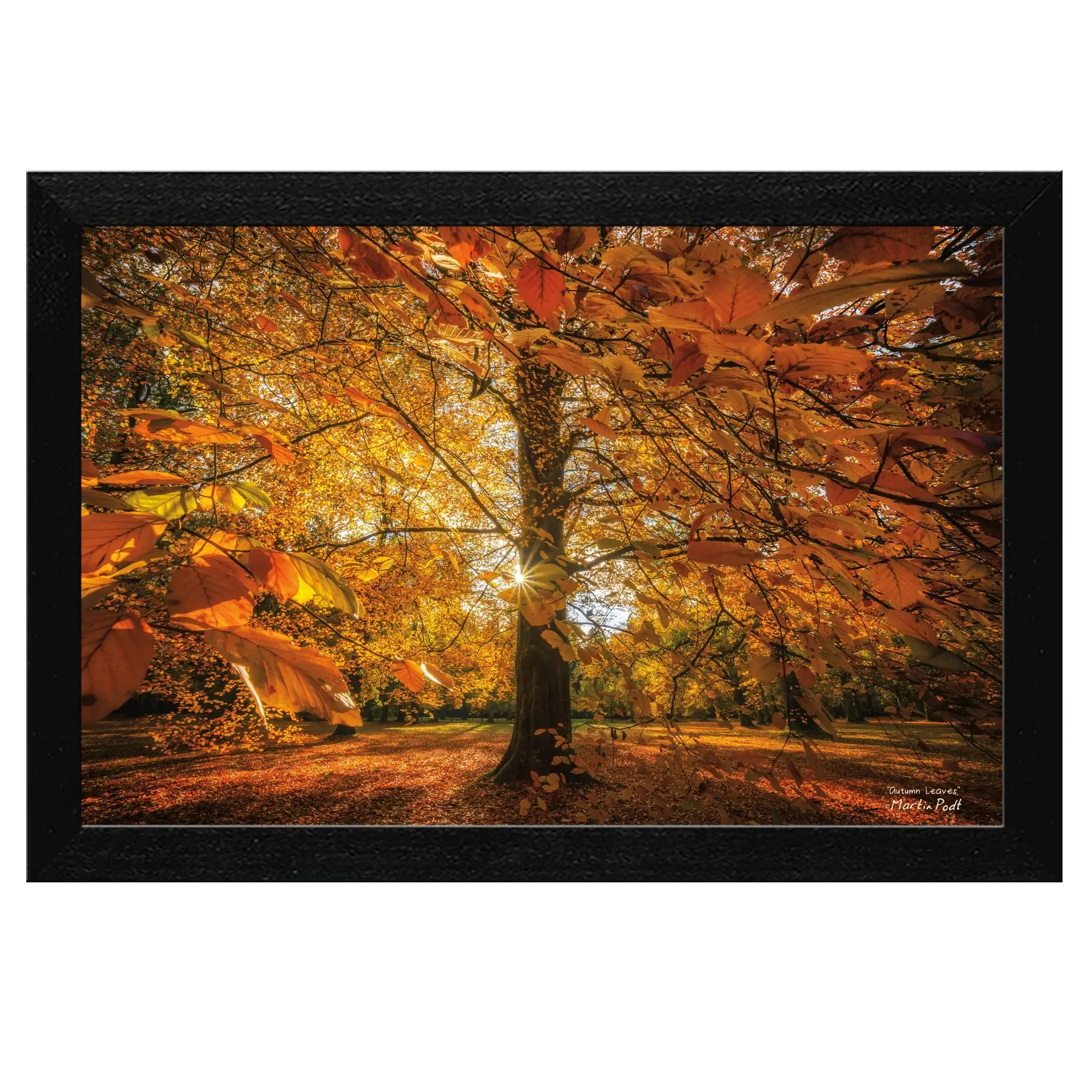 Autumn Leaves 4 Black Framed Print Wall Art - Image 3