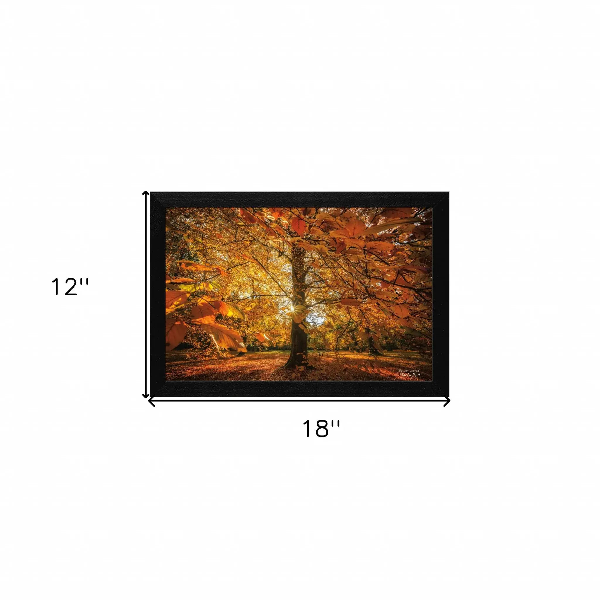 Autumn Leaves 4 Black Framed Print Wall Art - Image 5