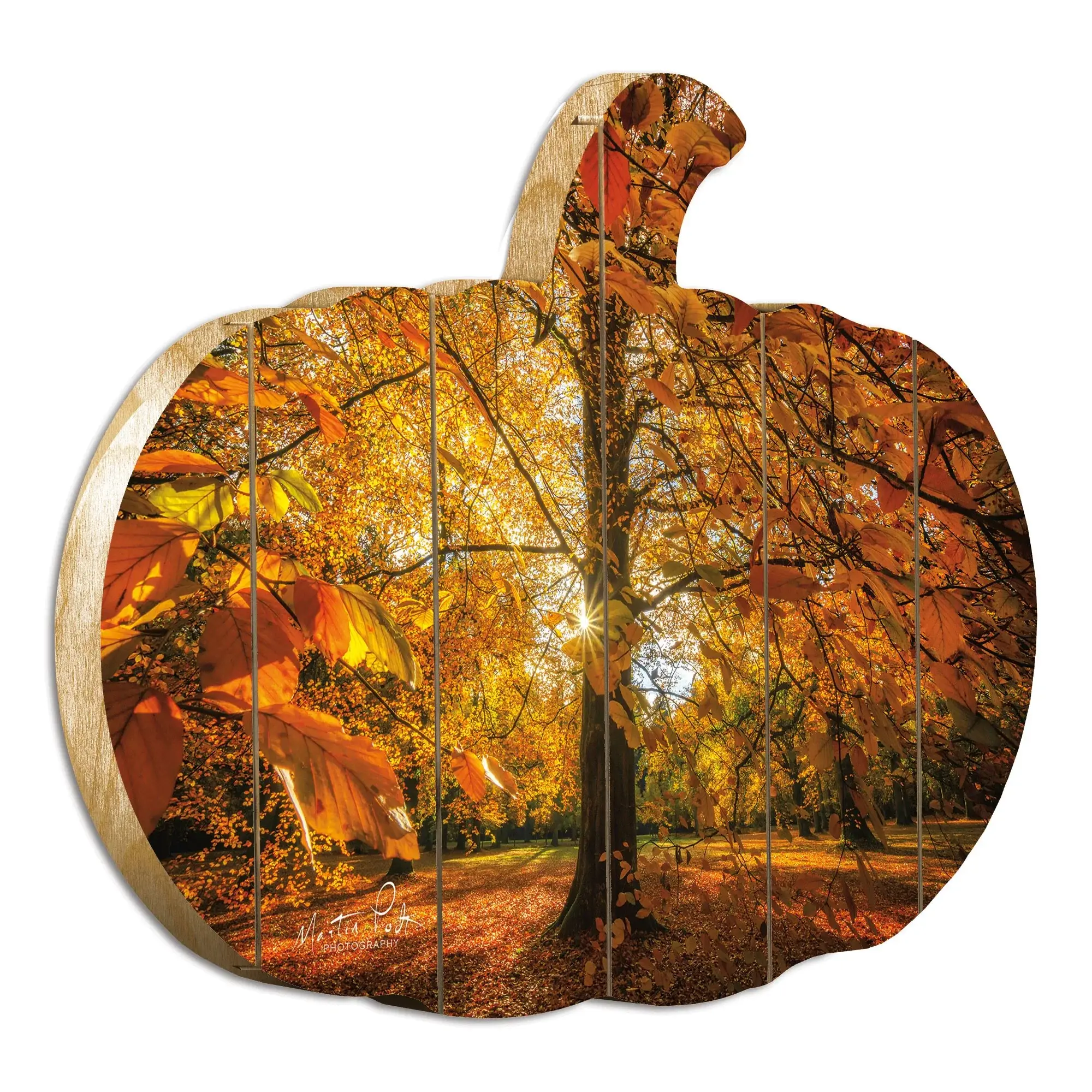 Autumn Leaves Unframed Print Wall Art - Image 3