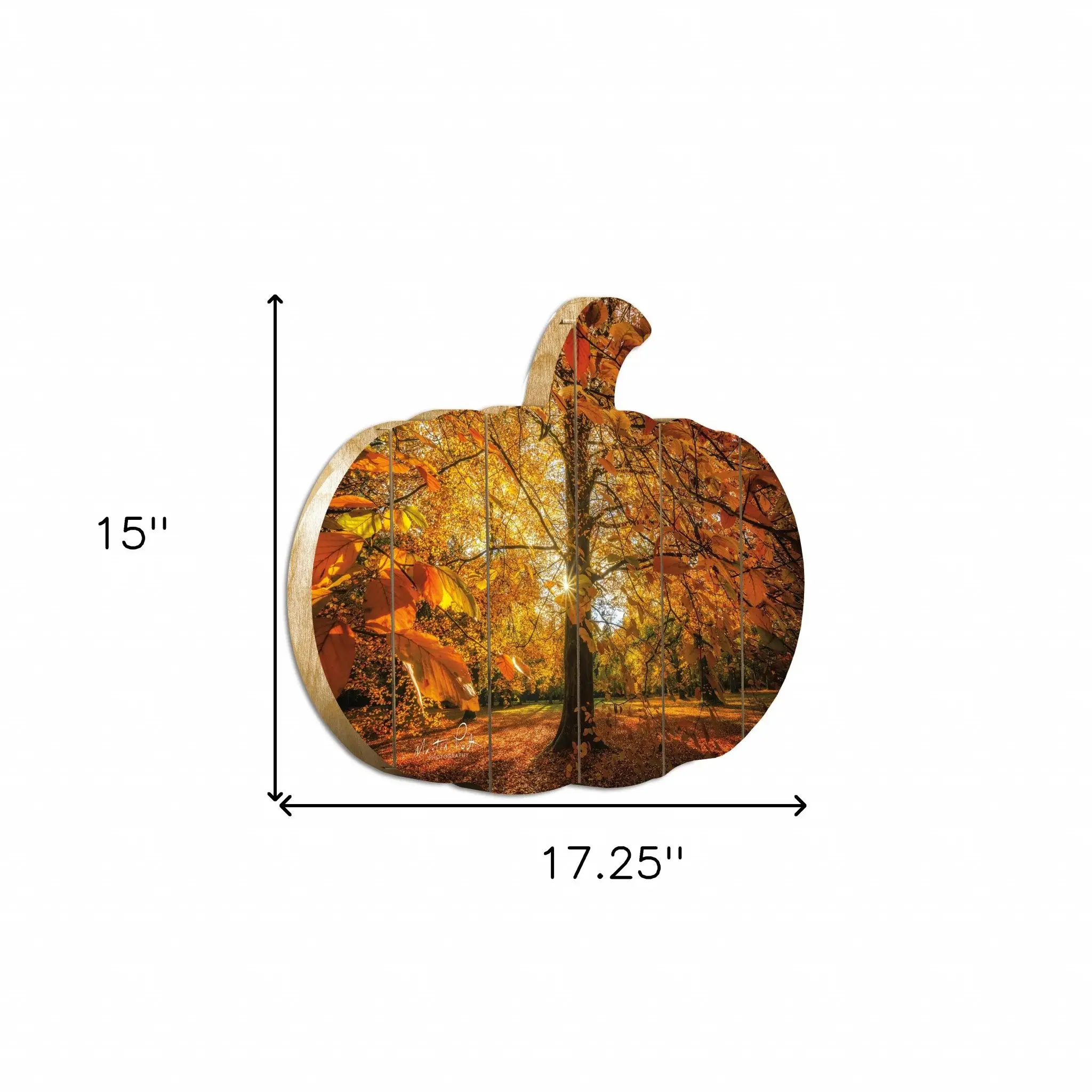 Autumn Leaves Unframed Print Wall Art - Image 5