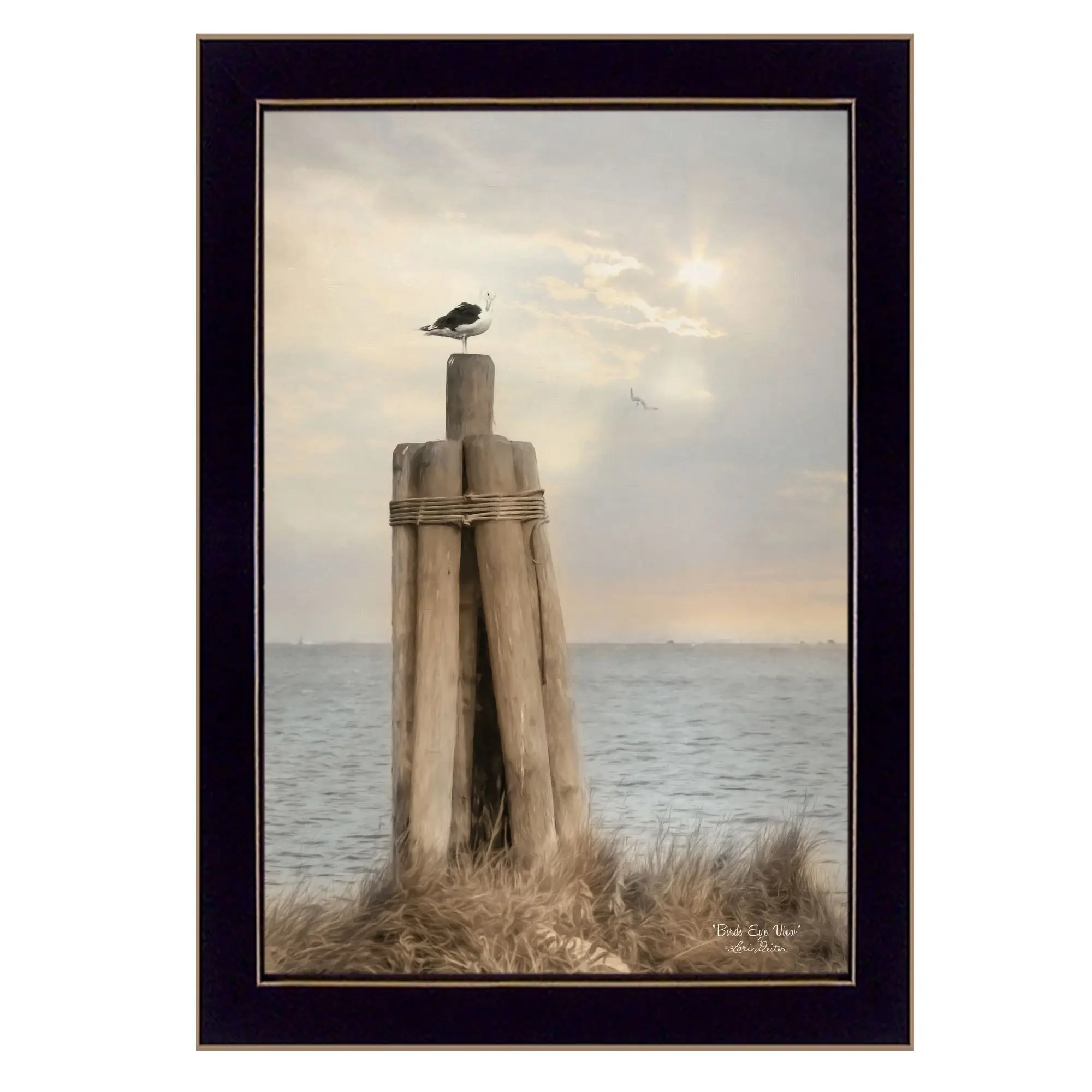 Birds Eye View 1 Black Framed Print Wall Art - Image 2