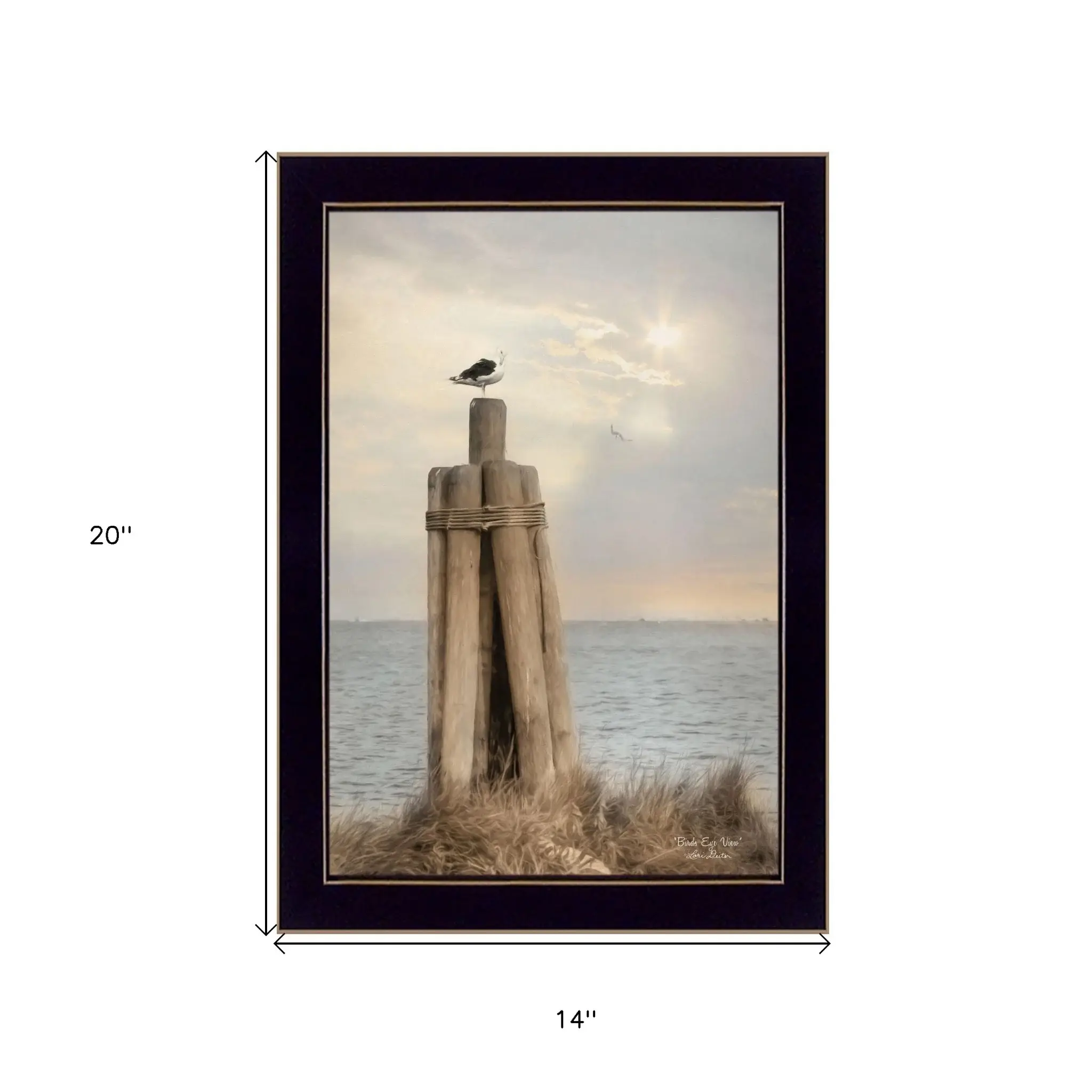 Birds Eye View 1 Black Framed Print Wall Art - Image 5