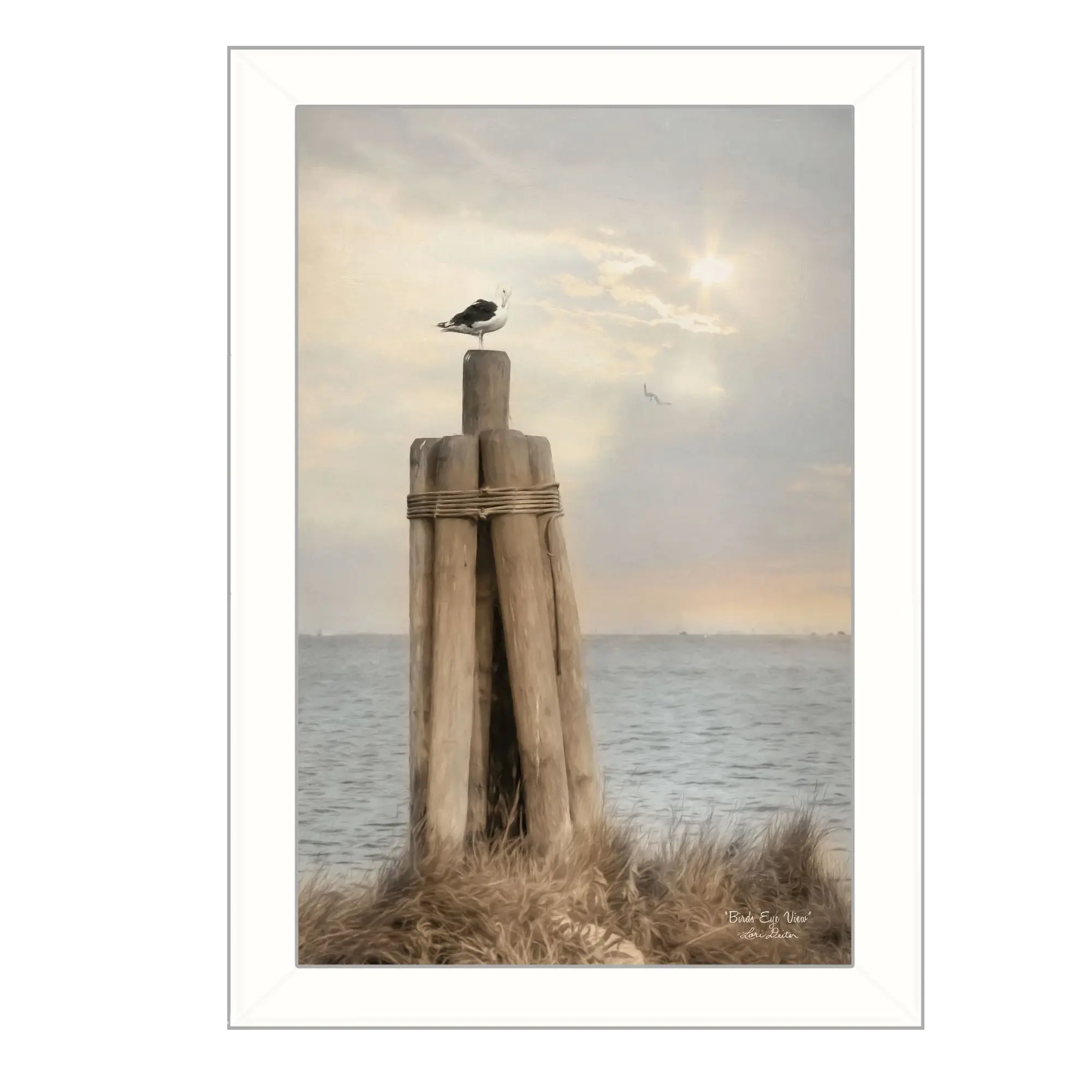 Birds Eye View 2 White Framed Print Wall Art - Image 2