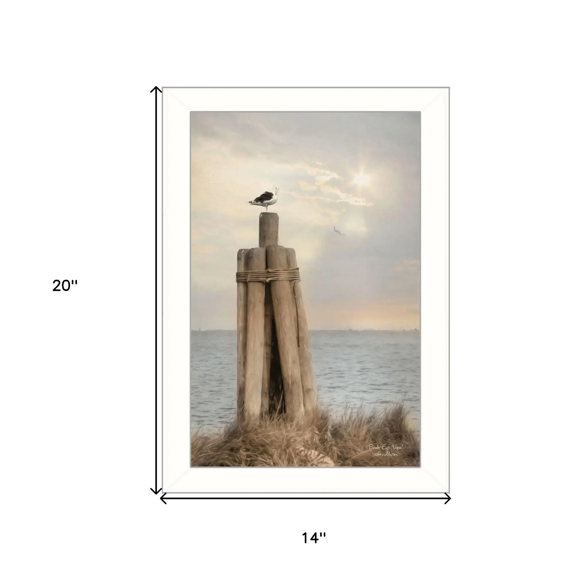 Birds Eye View 2 White Framed Print Wall Art - Image 5