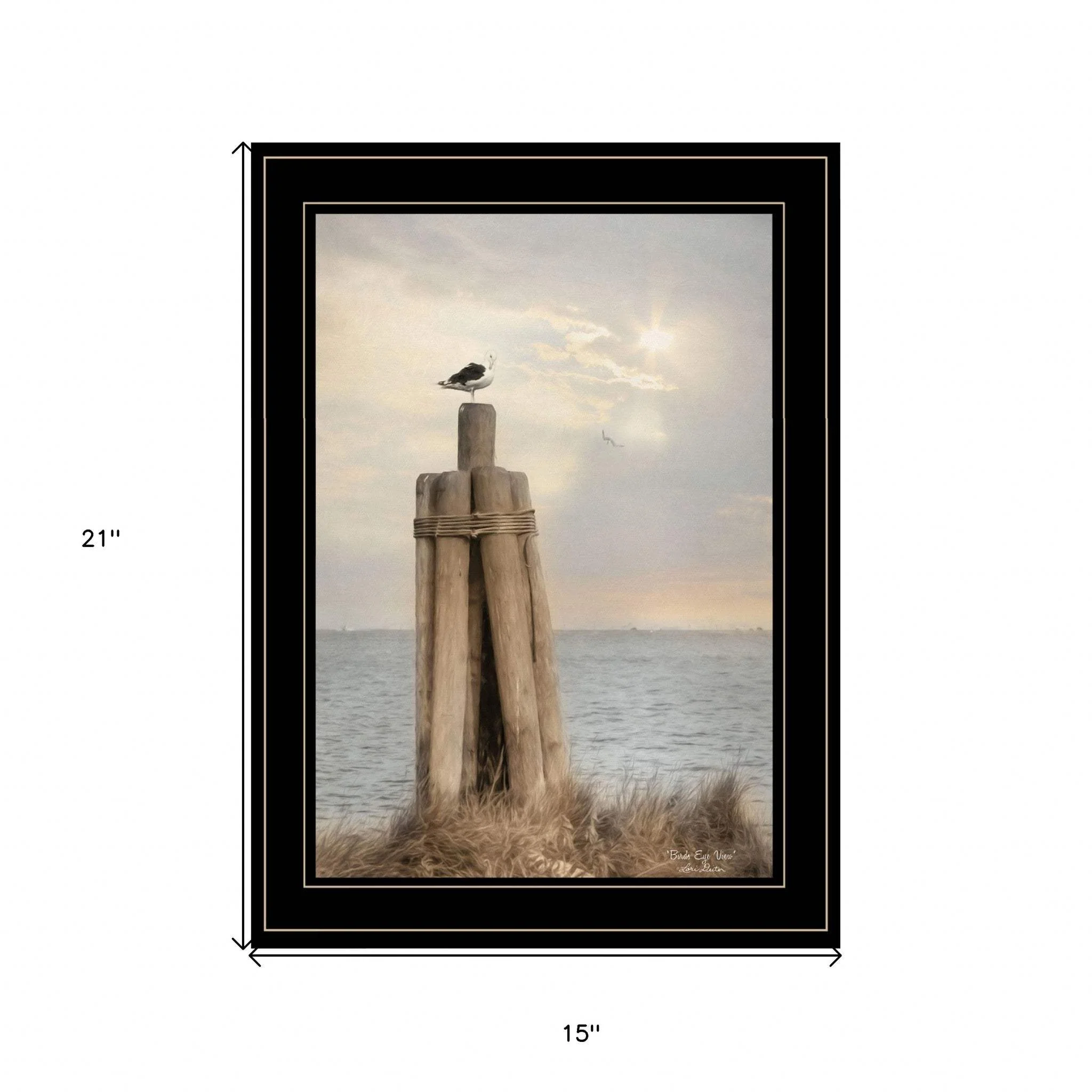 Birds Eye View 3 Black Framed Print Wall Art - Image 5