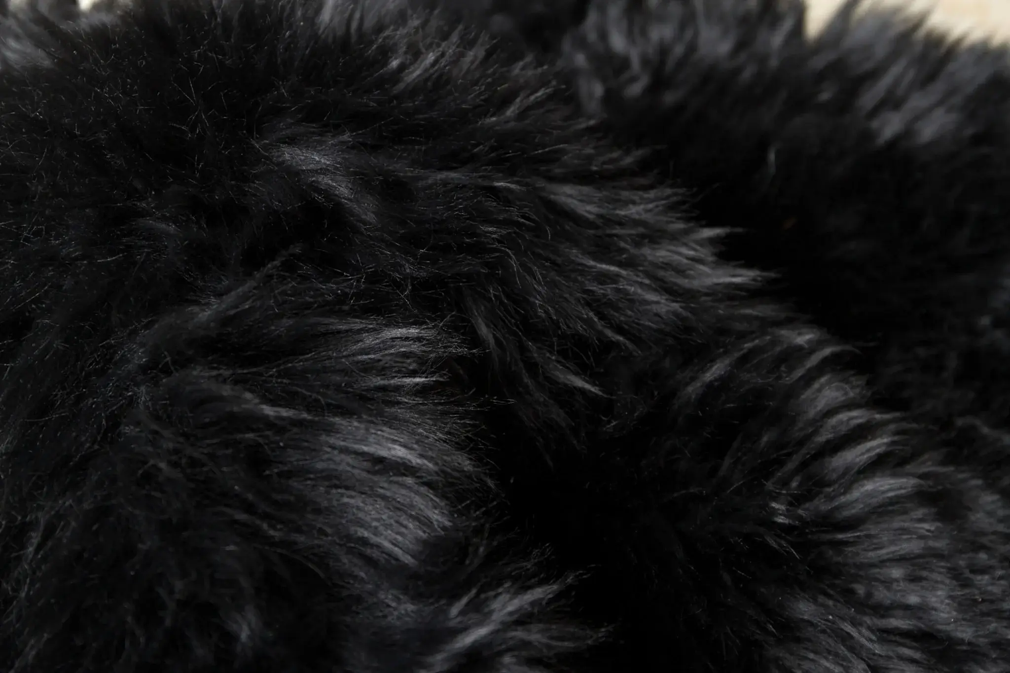 Black Animal Print Area Rug - Image 9