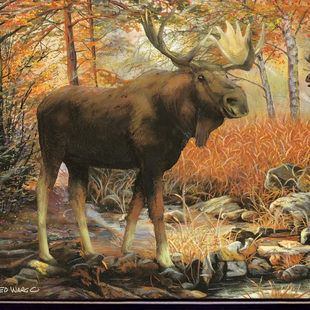 Call of the Wild 1 Black Framed Print Wall Art - Image 3
