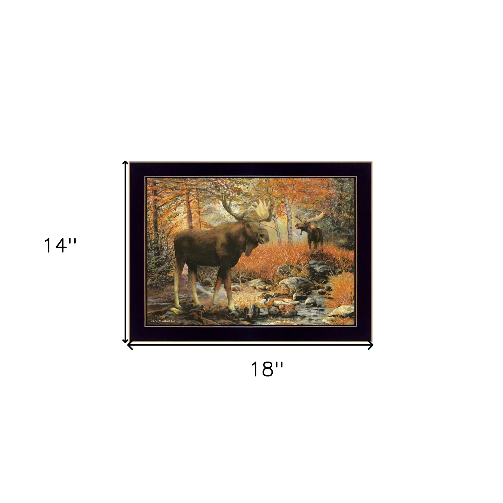 Call of the Wild 1 Black Framed Print Wall Art - Image 6