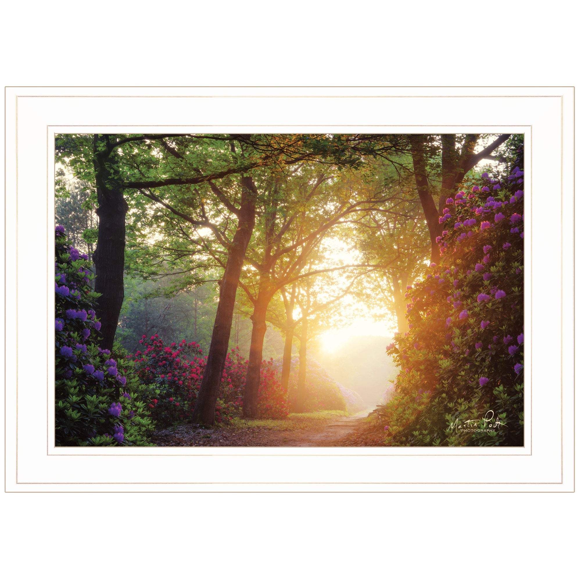 Color Overdose 1 White Framed Print Wall Art - Image 2