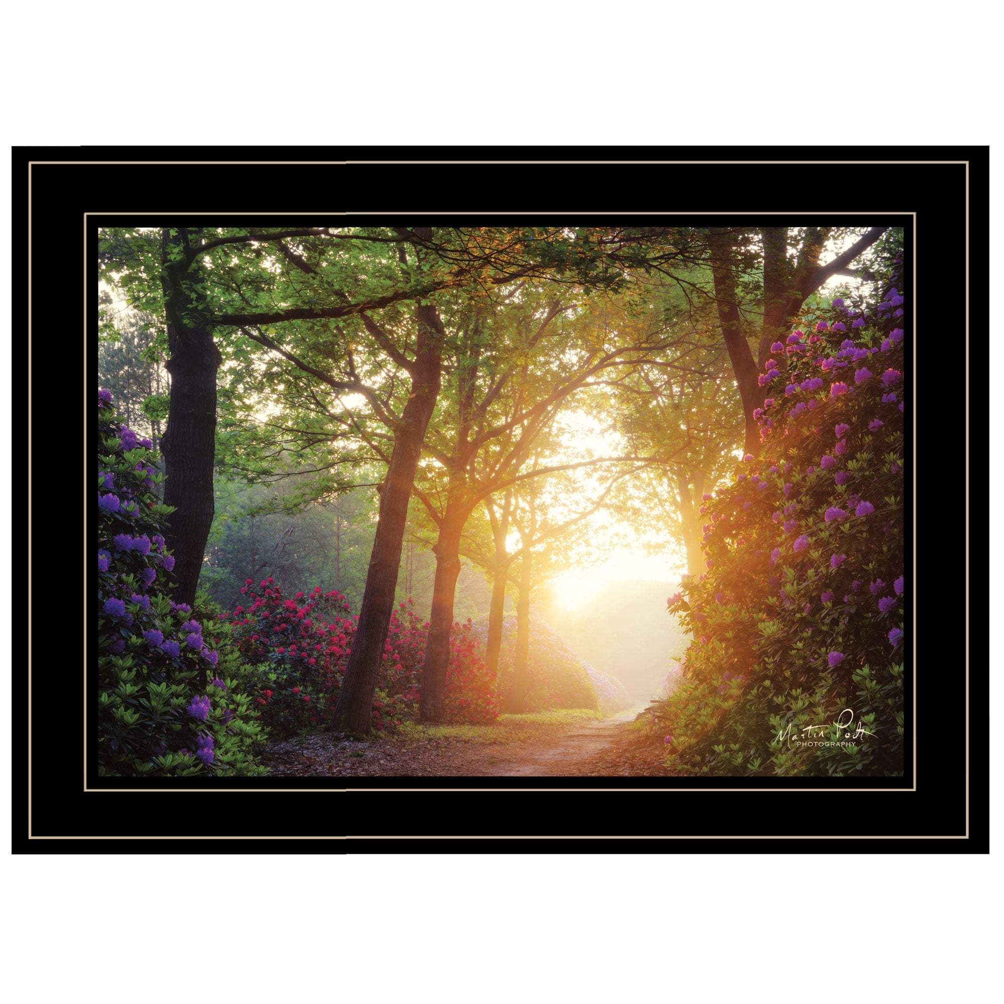 Color Overdose 2 Black Framed Print Wall Art - Image 2