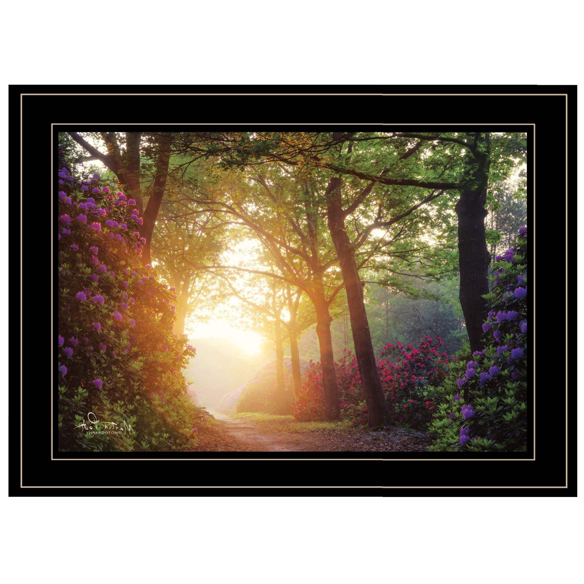 Color Overdose 2 Black Framed Print Wall Art - Image 3