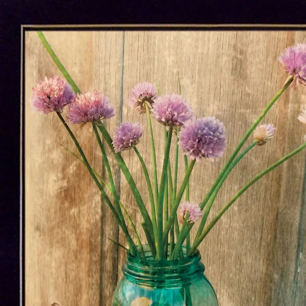 Country Chives 3 Black Framed Print Wall Art - Image 4