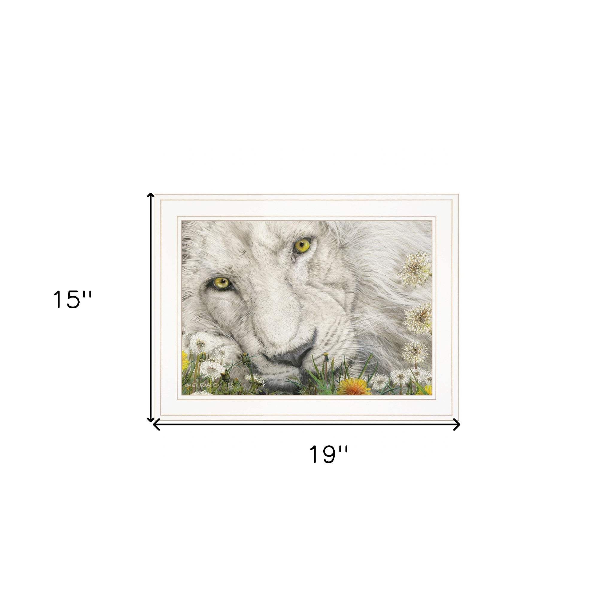 Dandy Lion 2 White Framed Print Wall Art - Image 6
