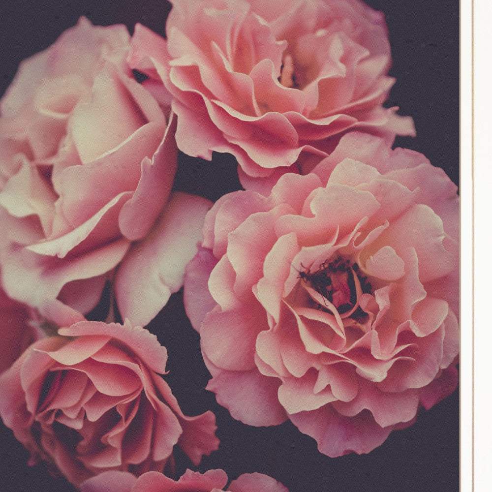 Dreamy Rose 1 White Framed Print Wall Art - Image 4