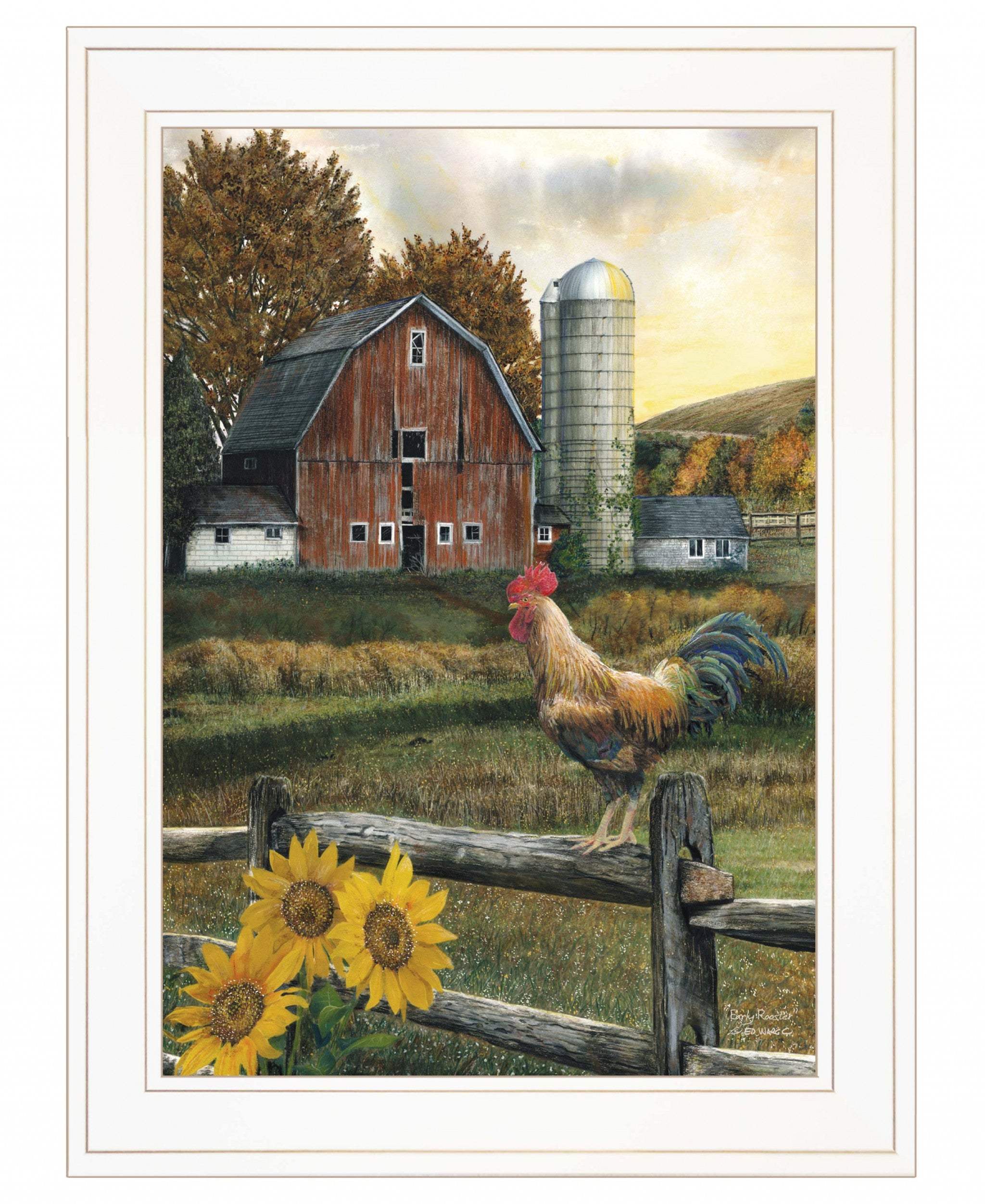 Early Rooster 2 White Framed Print Wall Art - Image 2
