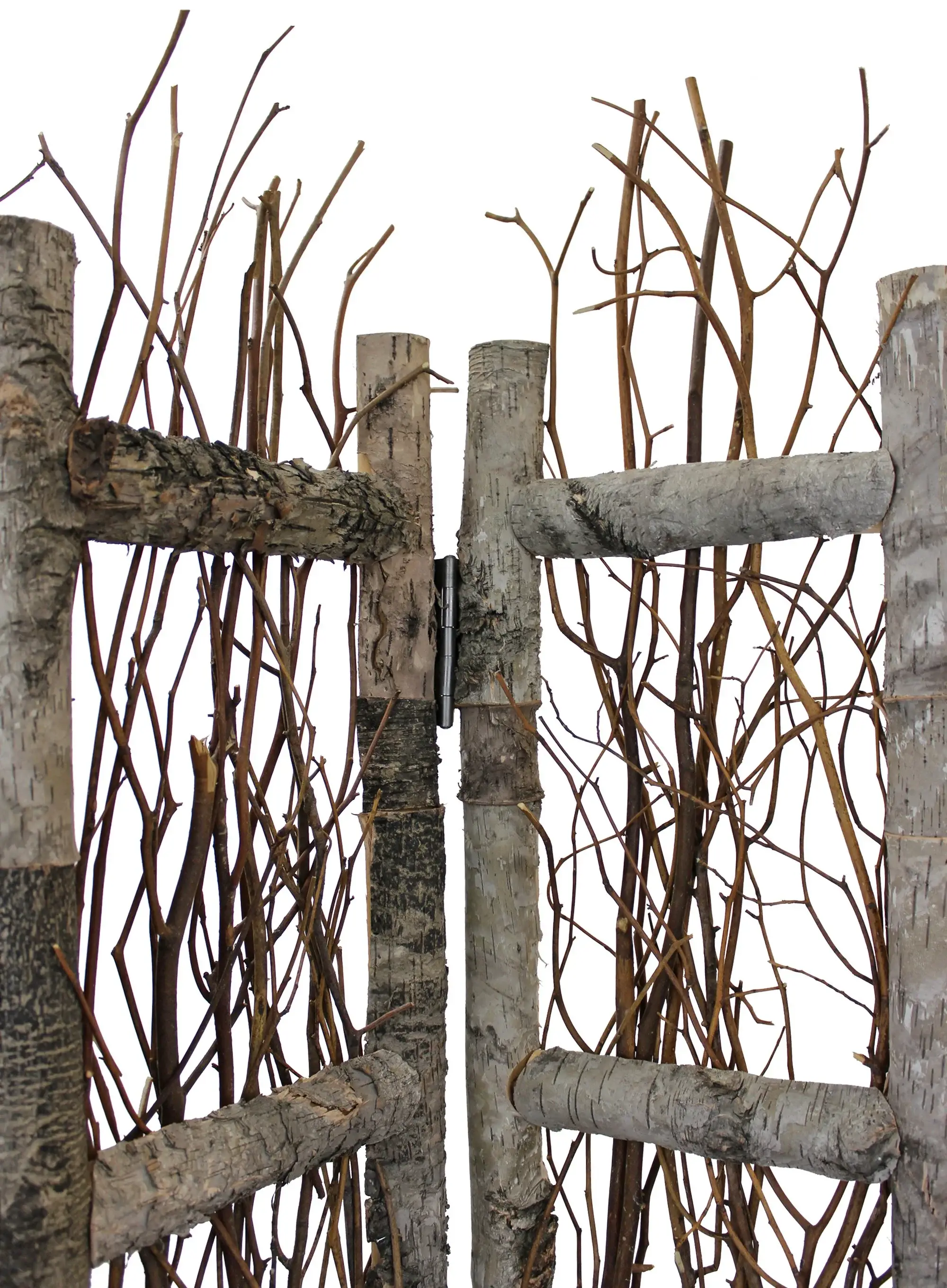 Earthy Birch and Twig Four Panel Room Divider Screen - Image 3